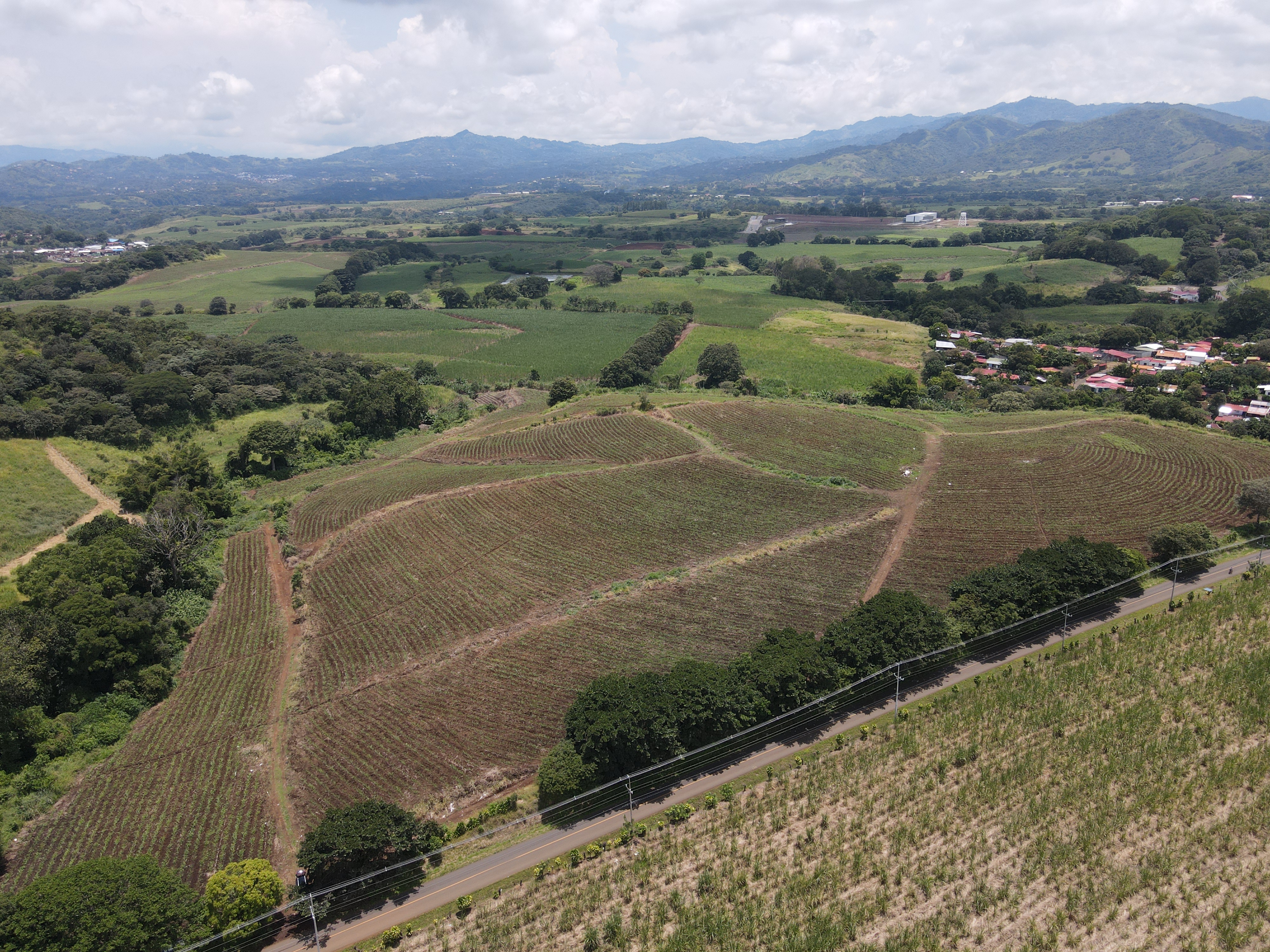 0 bed Land For Sale in Grecia, Alajuela - thumb 9