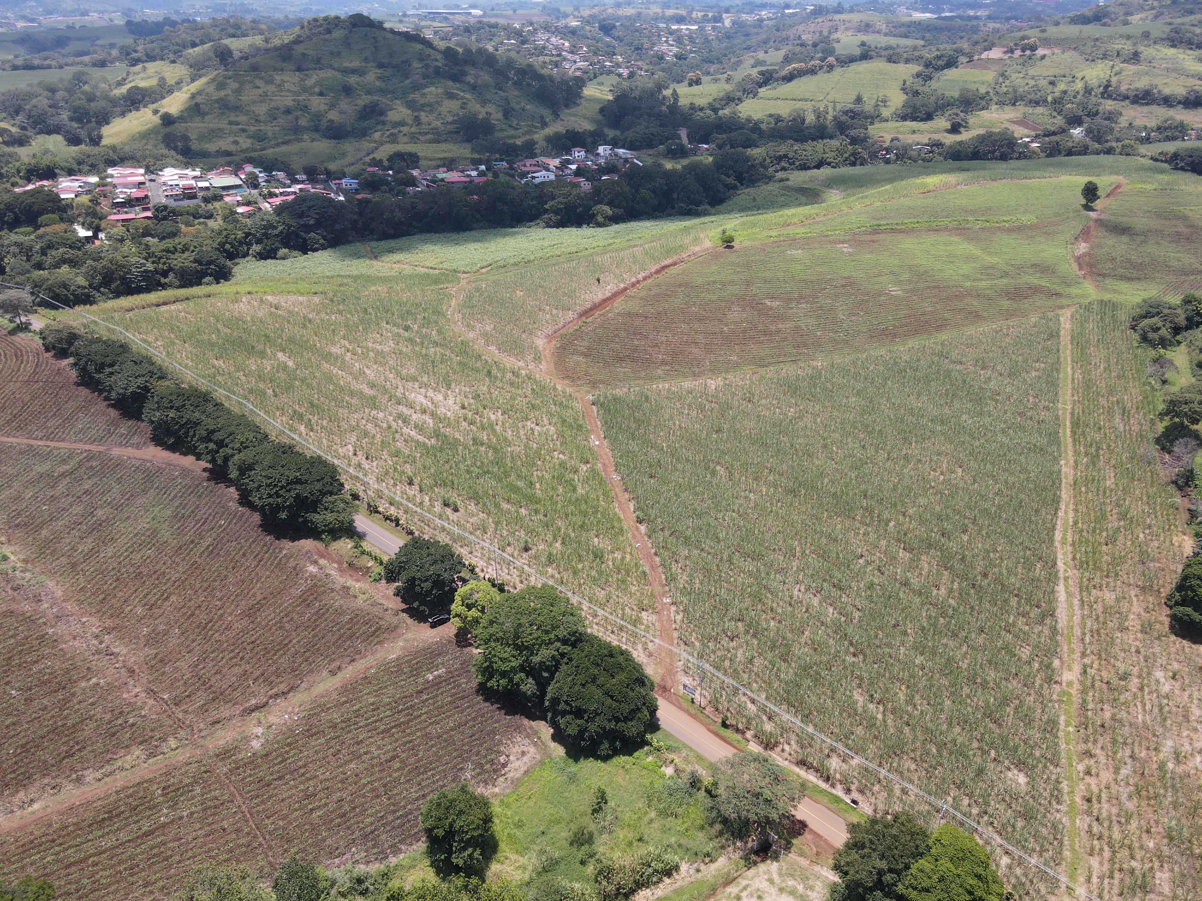 0 bed Land For Sale in Grecia, Alajuela - thumb 5