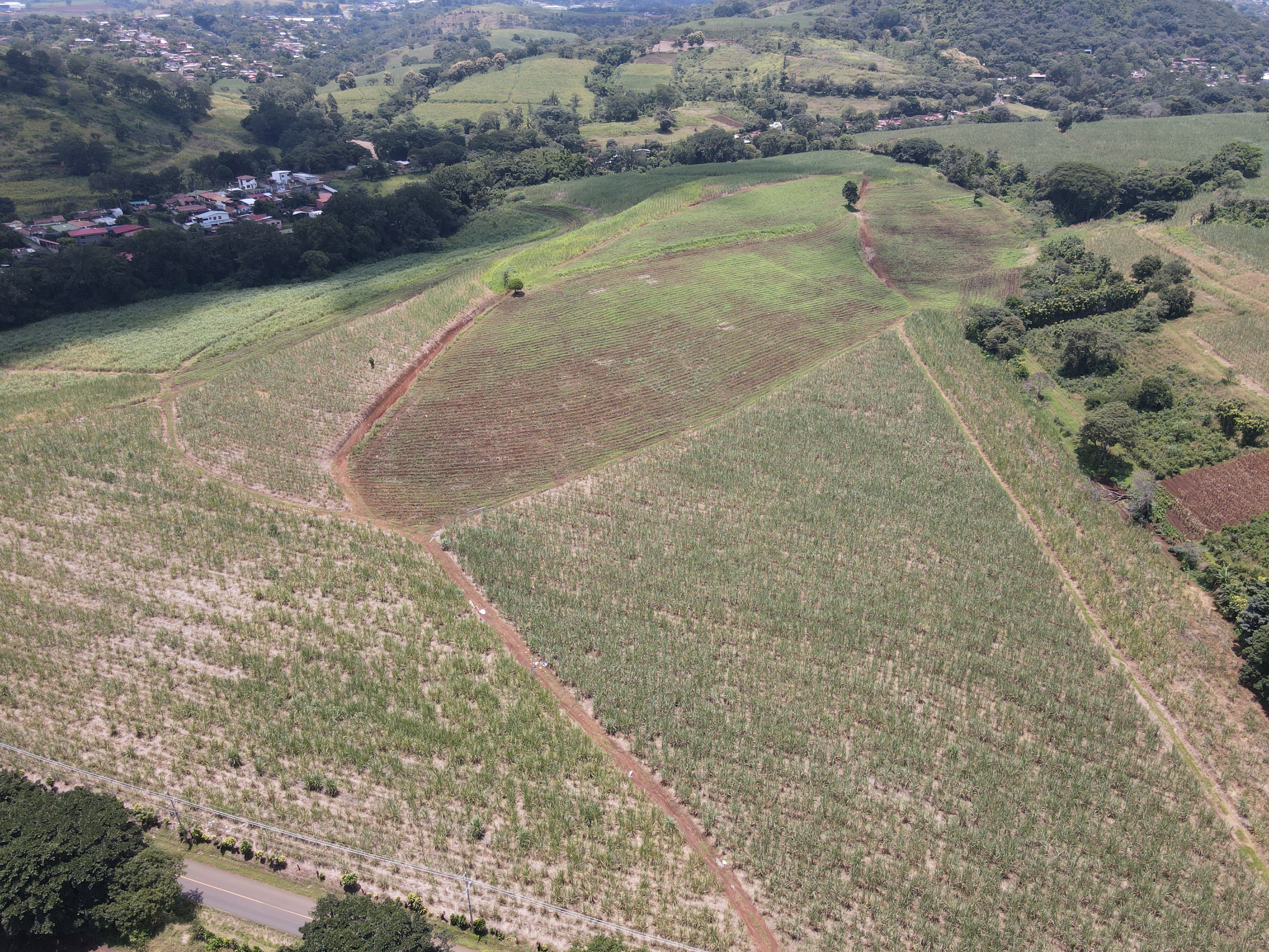 0 bed Land For Sale in Grecia, Alajuela - thumb 4