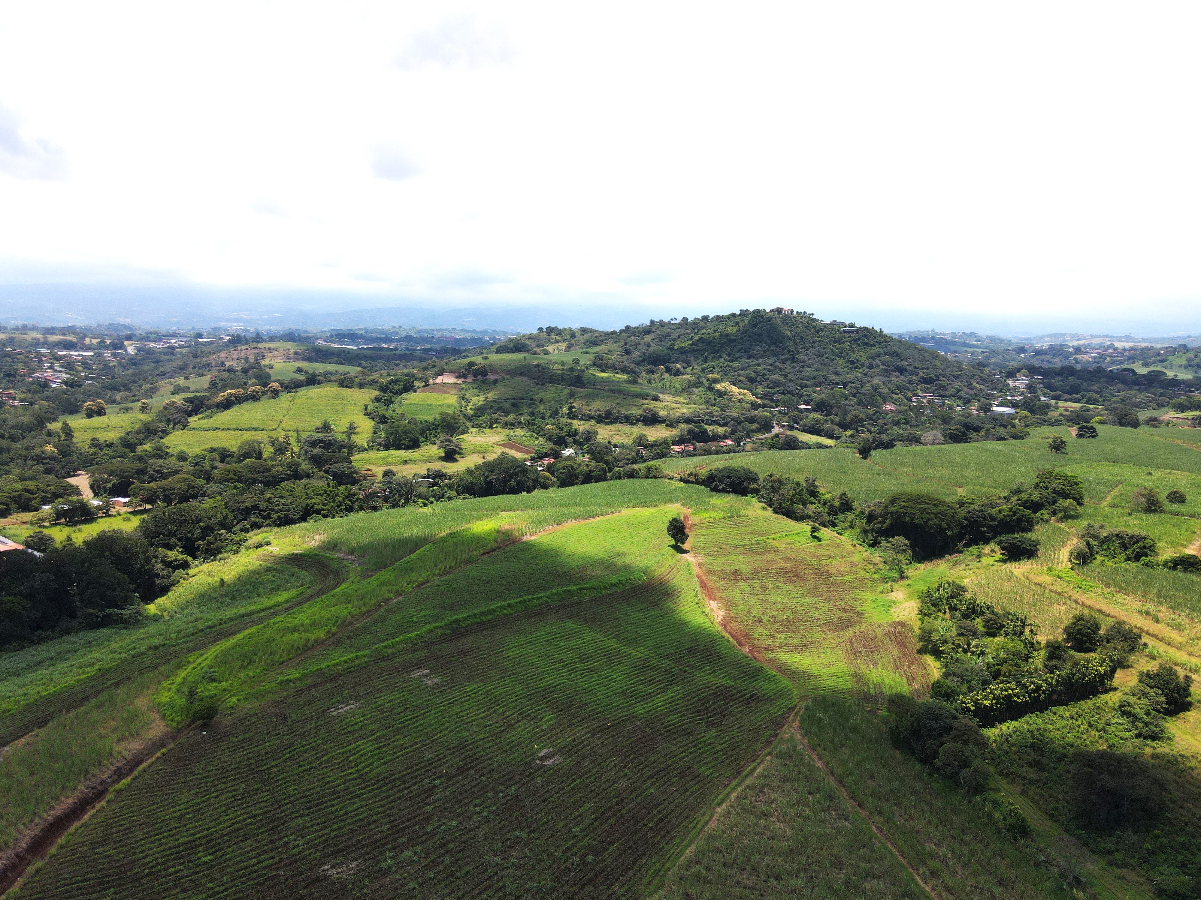 0 bed Land For Sale in Grecia, Alajuela - thumb 3