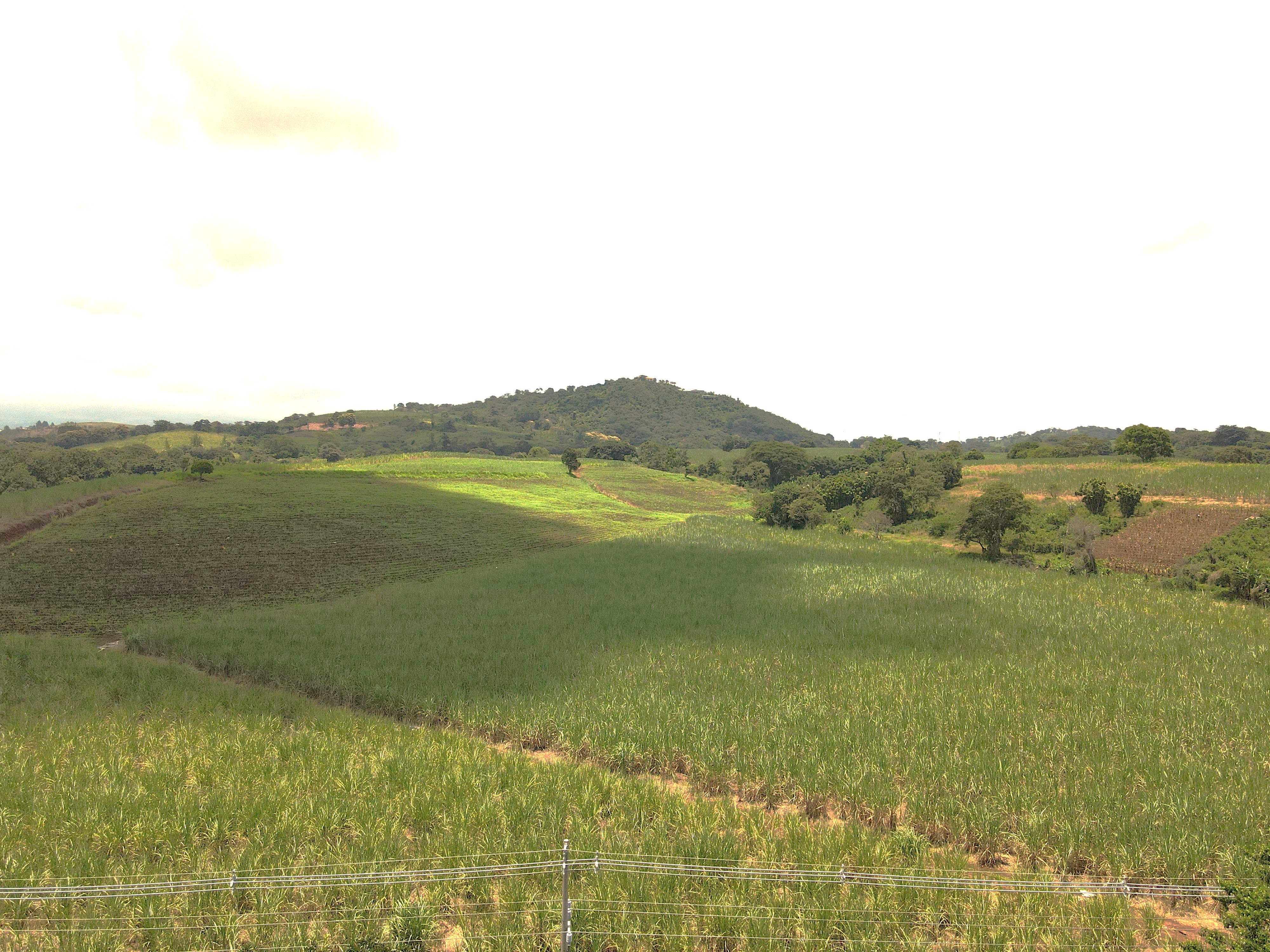 0 bed Land For Sale in Grecia, Alajuela - thumb 1