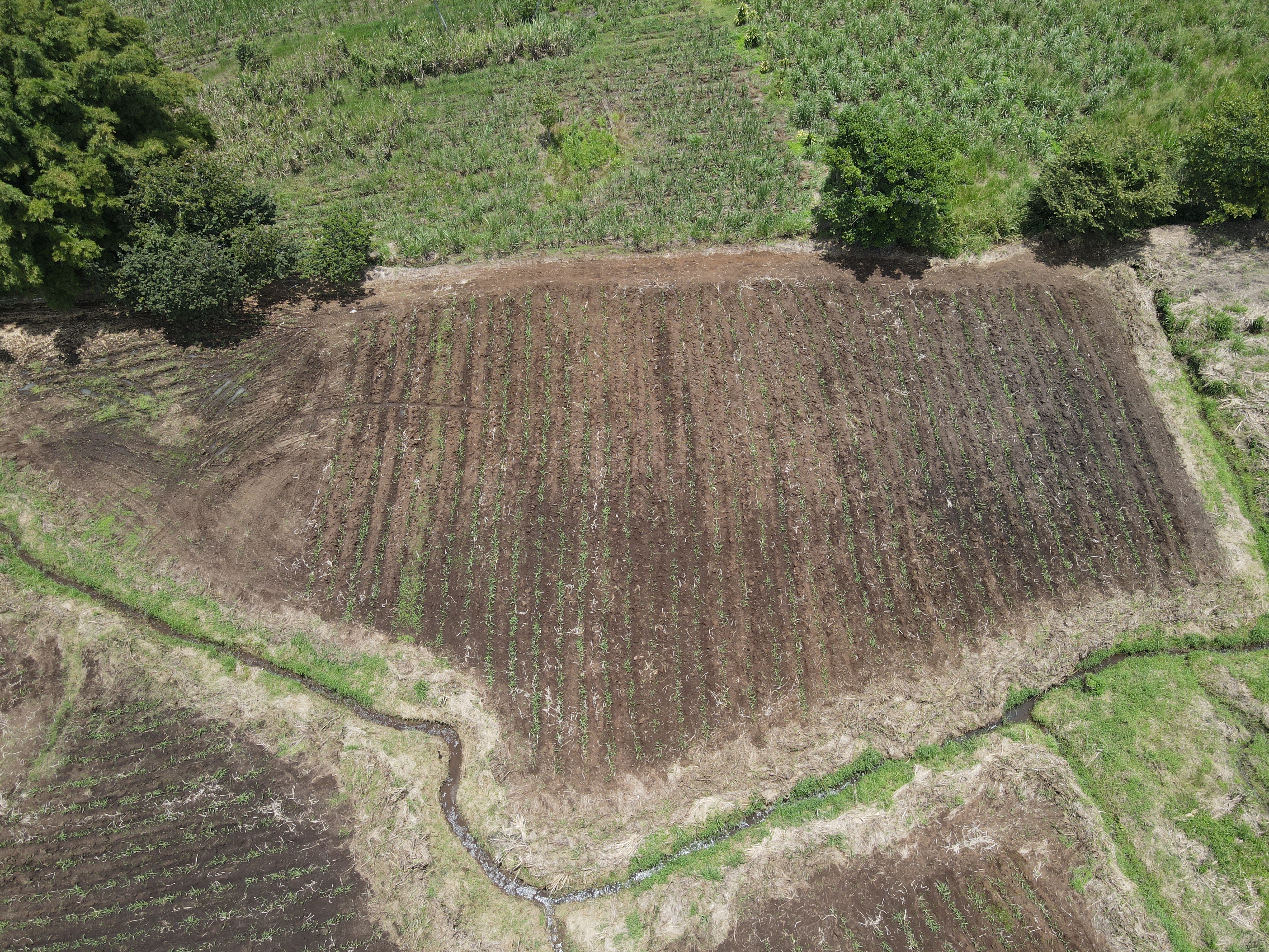 0 bed Land For Sale in Grecia, Alajuela - thumb 6