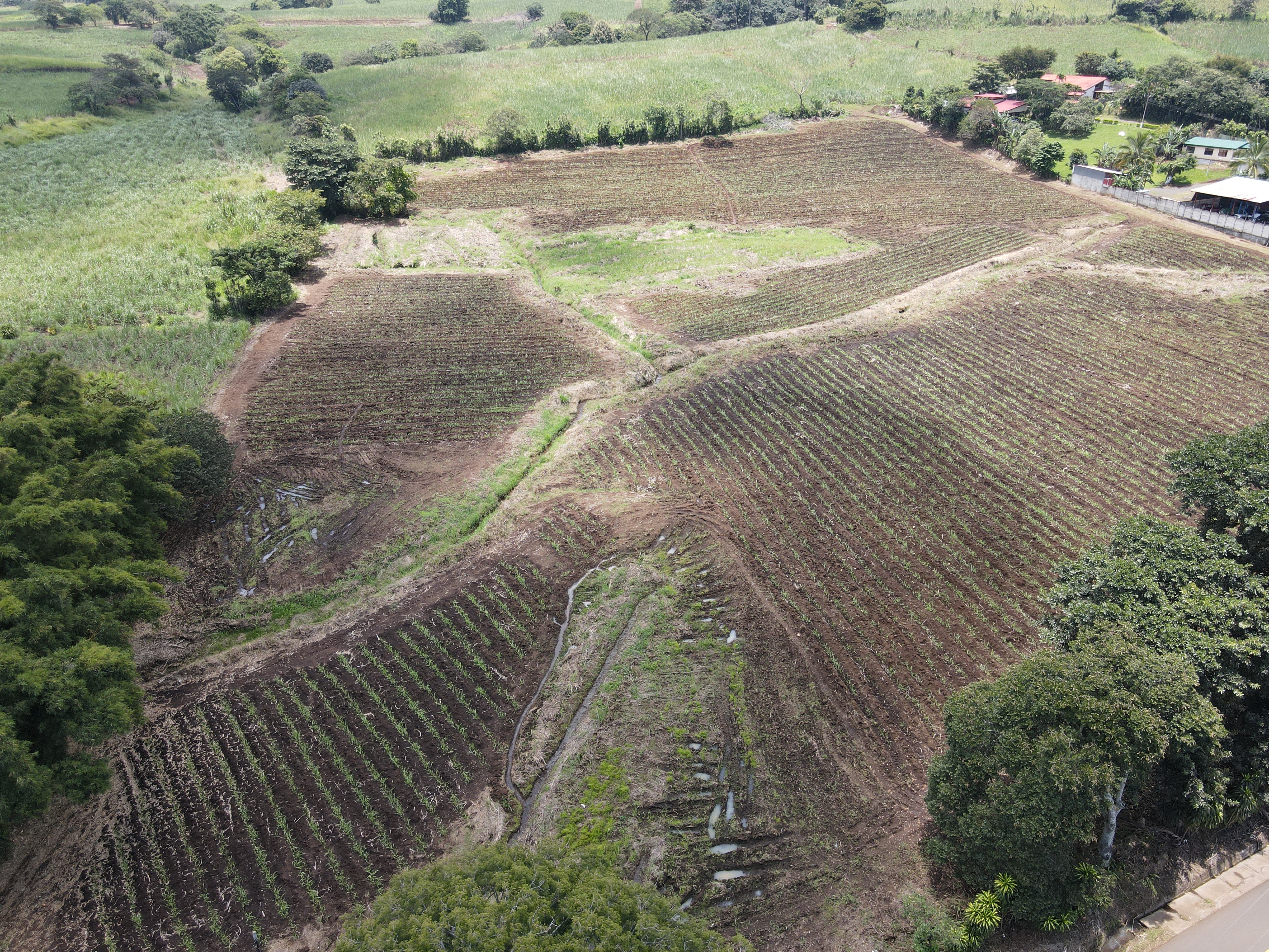 0 bed Land For Sale in Grecia, Alajuela - thumb 5