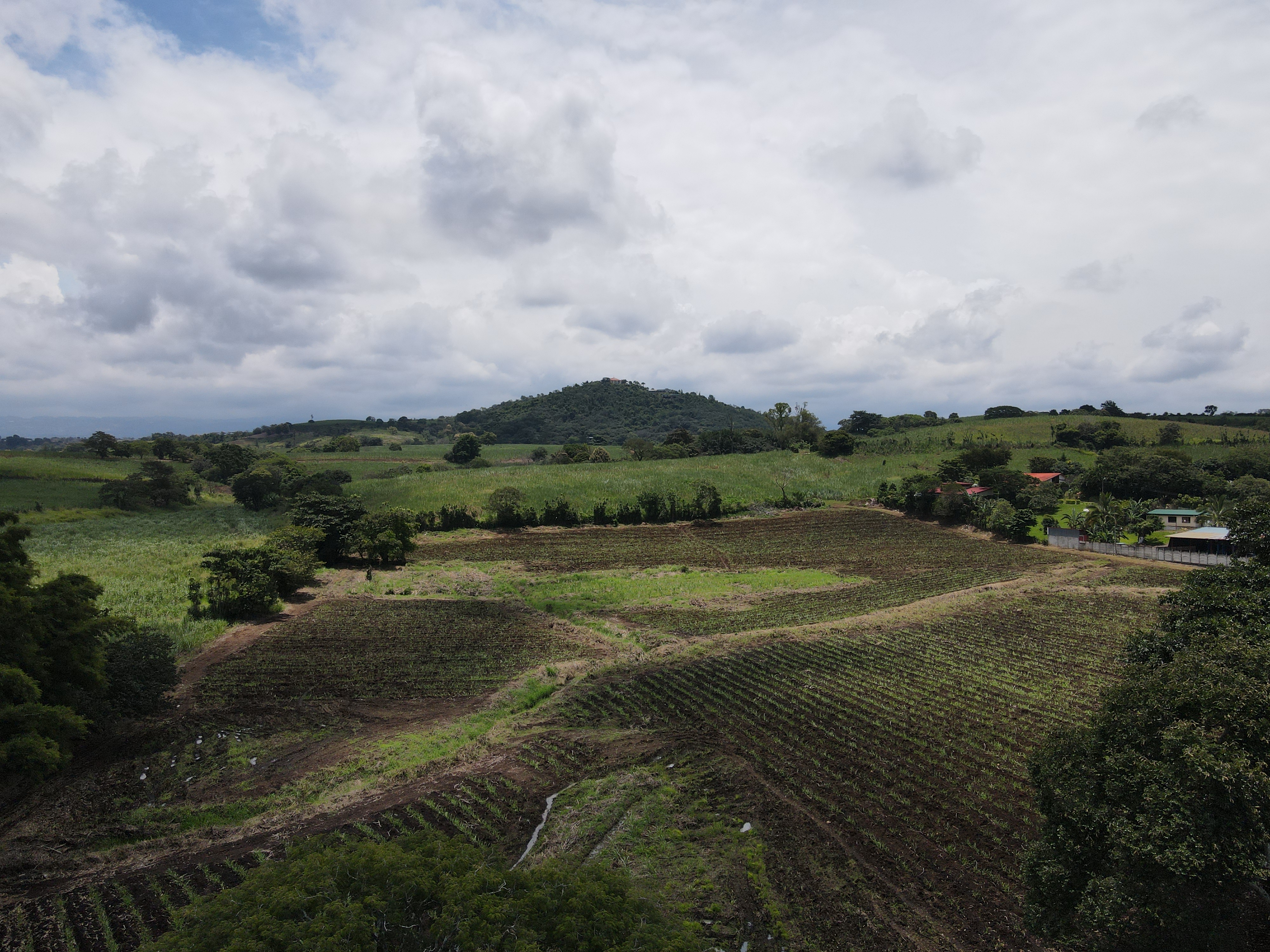 0 bed Land For Sale in Grecia, Alajuela - thumb 2