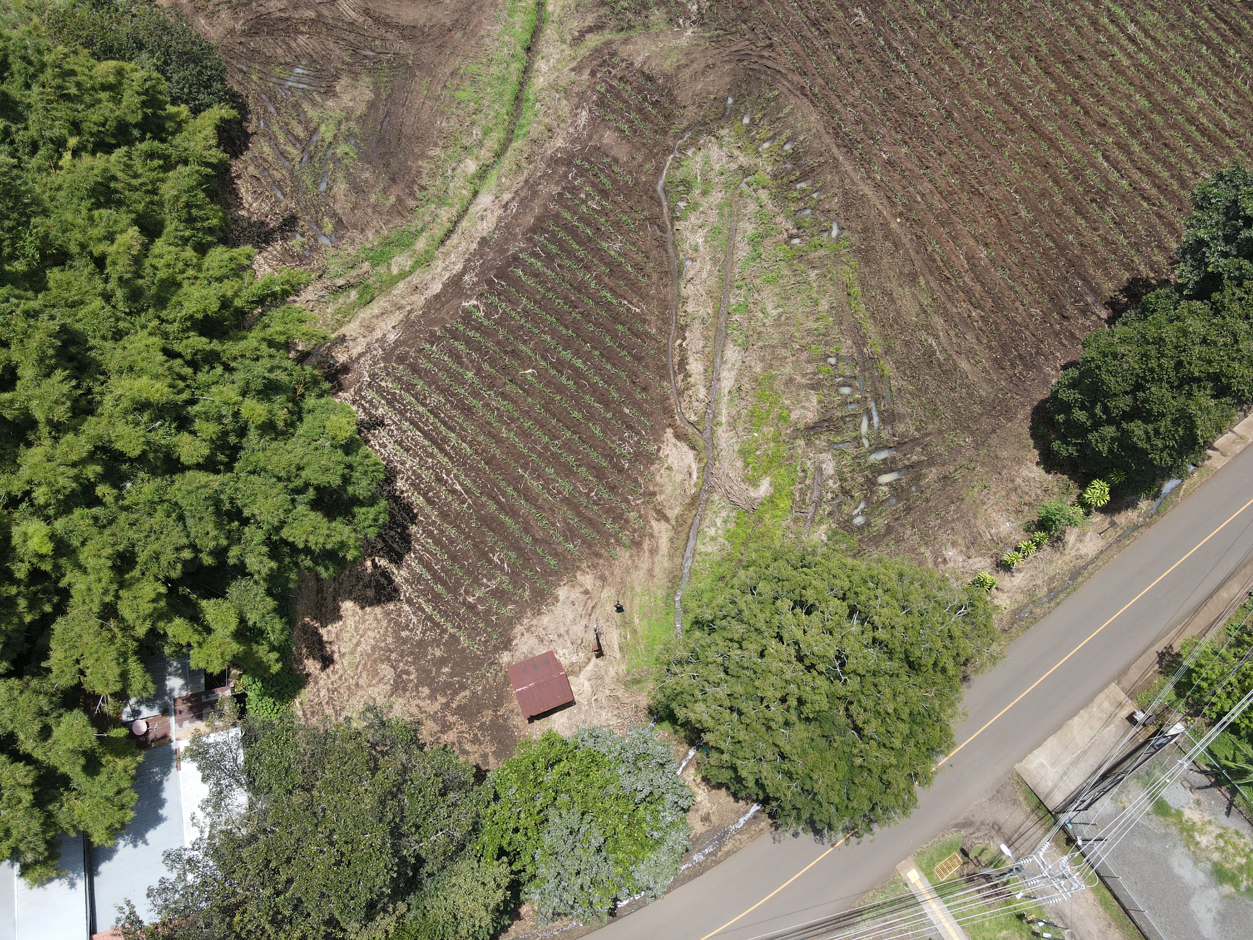 0 bed Land For Sale in Grecia, Alajuela - thumb 7