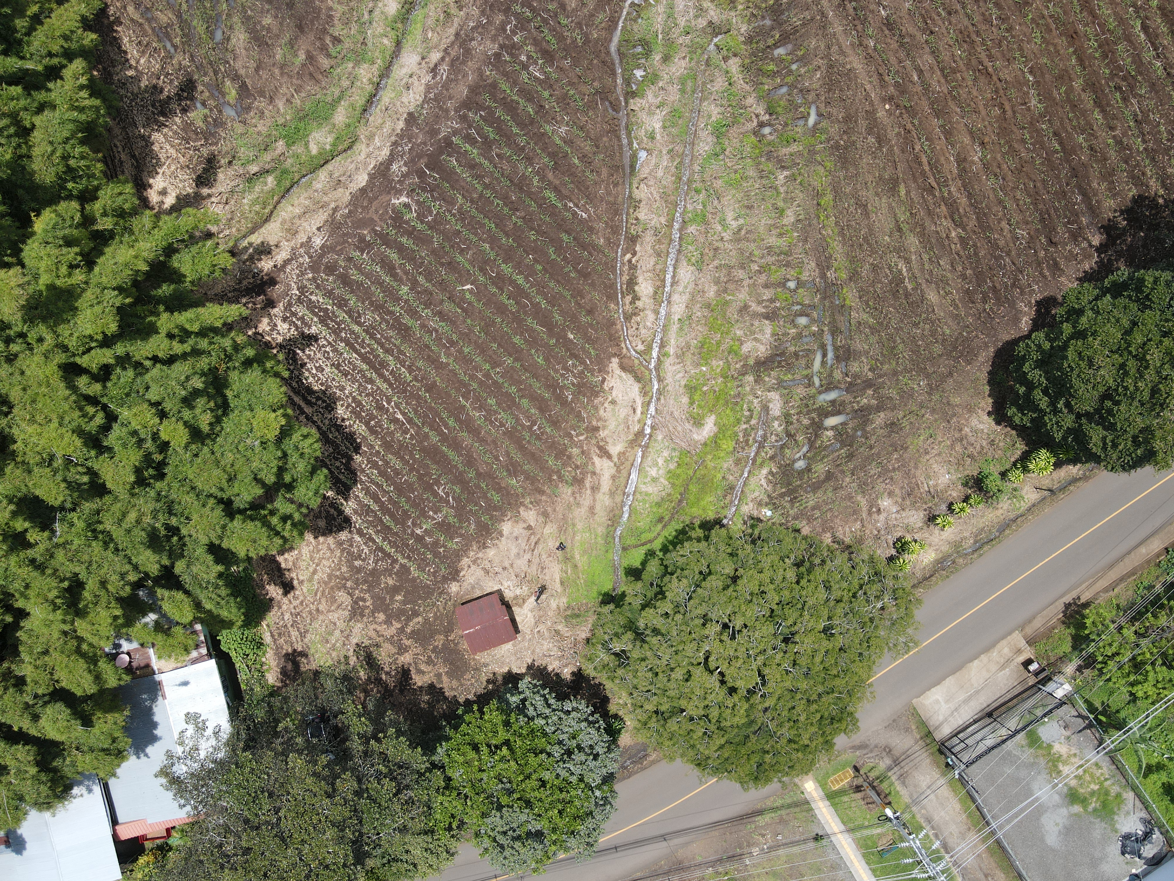 0 bed Land For Sale in Grecia, Alajuela - thumb 8