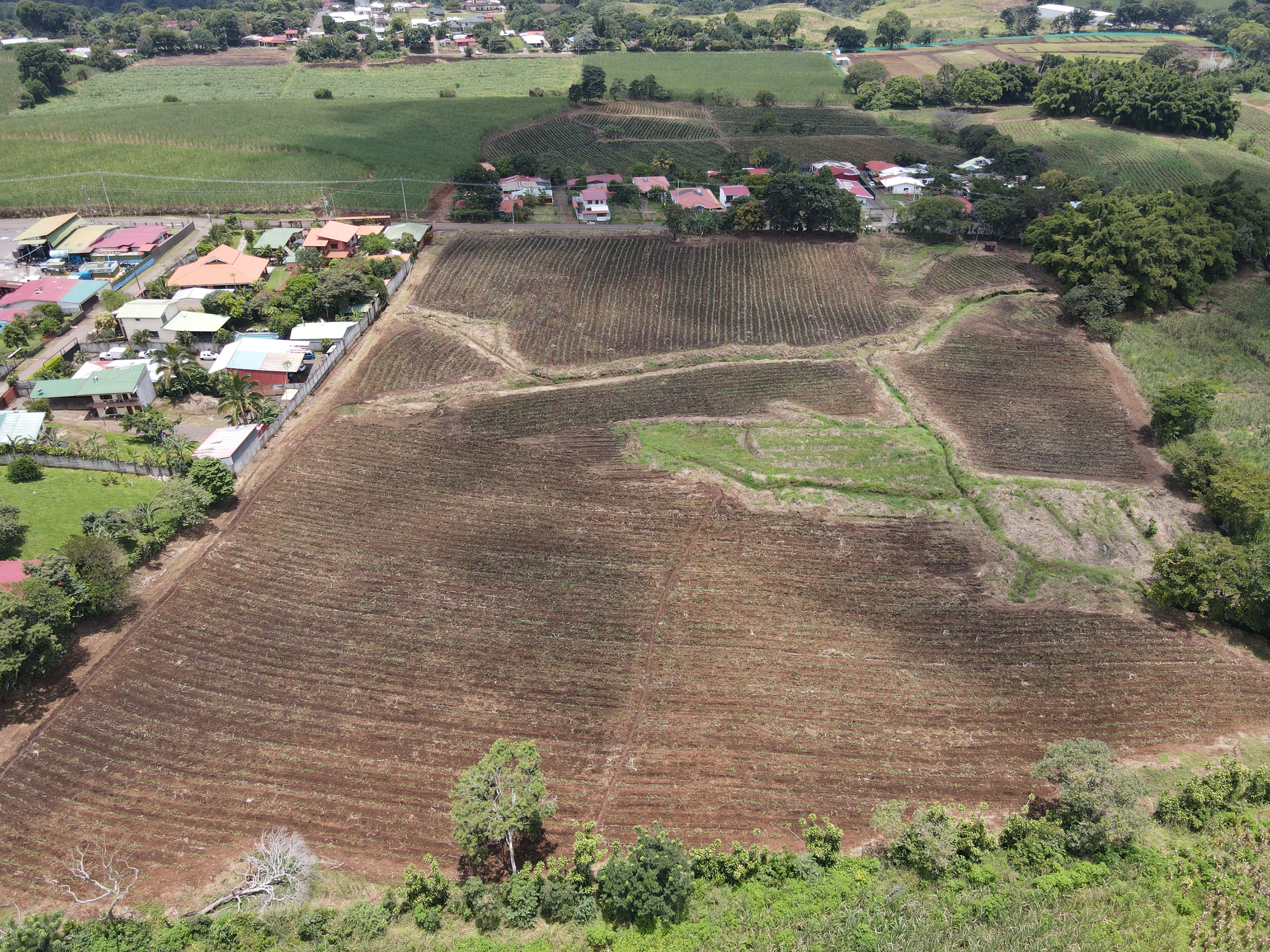 0 bed Land For Sale in Grecia, Alajuela - thumb 10