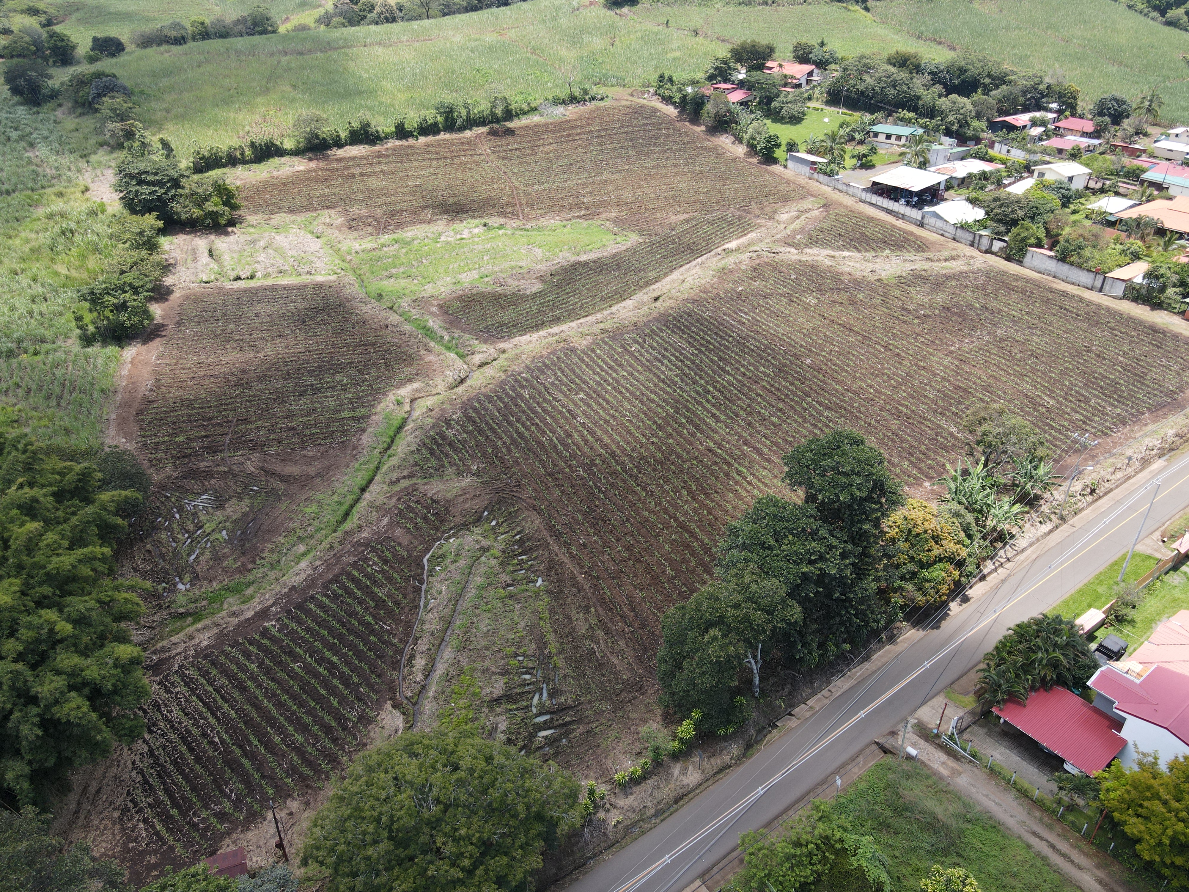 0 bed Land For Sale in Grecia, Alajuela - thumb 3