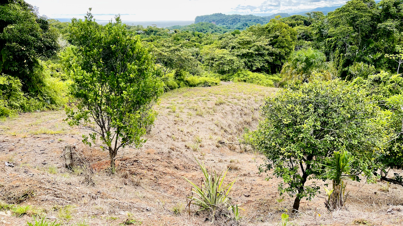 3 bed Single Family Homes For Sale in Ojochal, Puntarenas - thumb 7