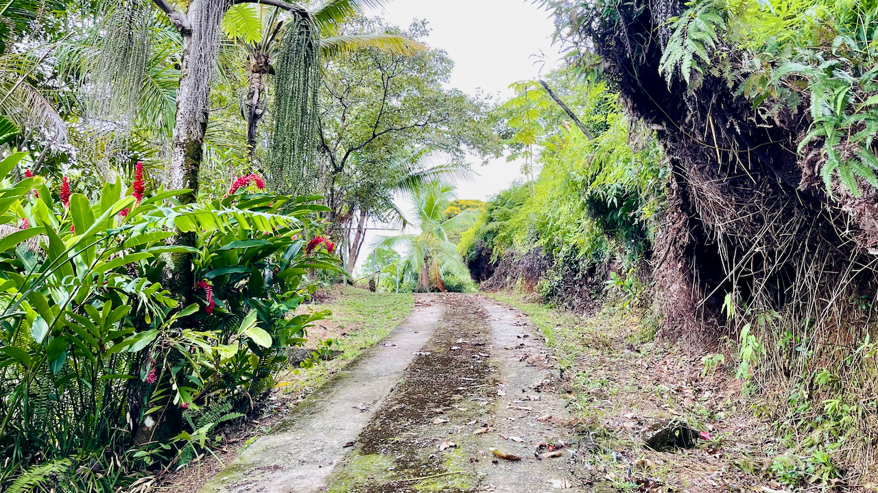 3 bed Single Family Homes For Sale in Ojochal, Puntarenas - thumb 11