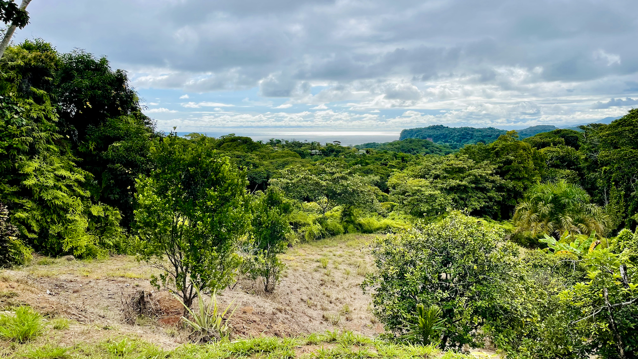 3 bed Single Family Homes For Sale in Ojochal, Puntarenas - thumb 6