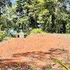  - Beach Front For Sale 70 Acres with 3 Houses Private Beach
