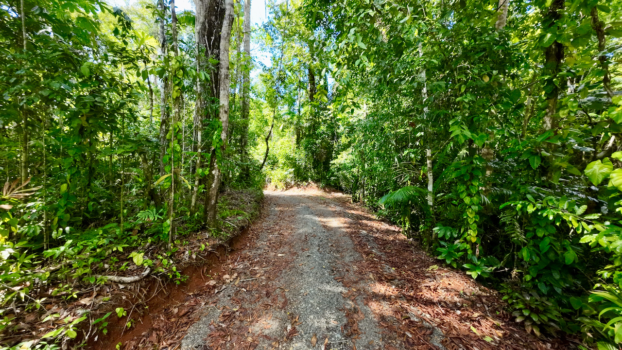 0 bed Land For Sale in Rincon, Puntarenas - thumb 12