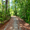  - Beach Front For Sale 70 Acres with 3 Houses Private Beach