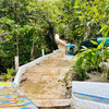  - Beach Front For Sale 70 Acres with 3 Houses Private Beach
