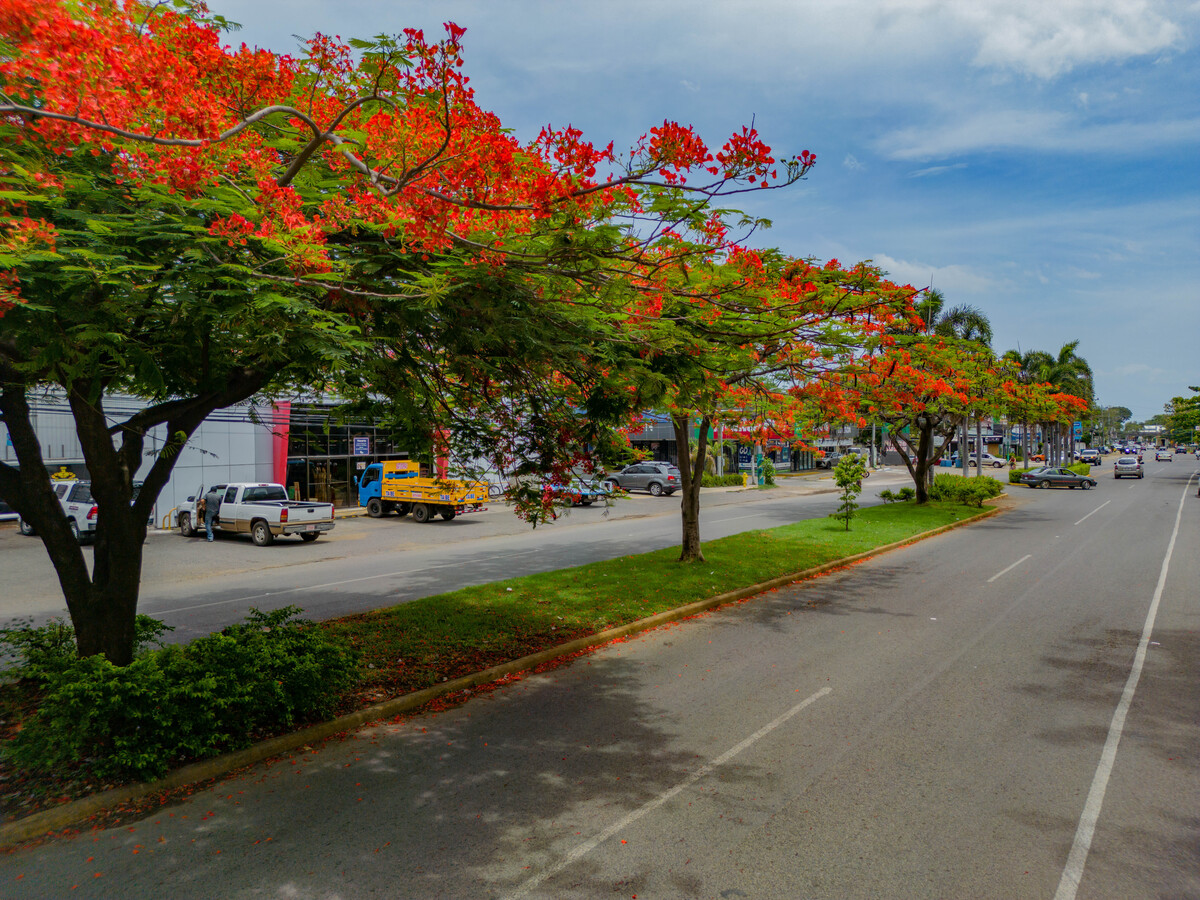 3 bed Single Family Homes For Sale in Playas Del Coco, Guanacaste - thumb 5