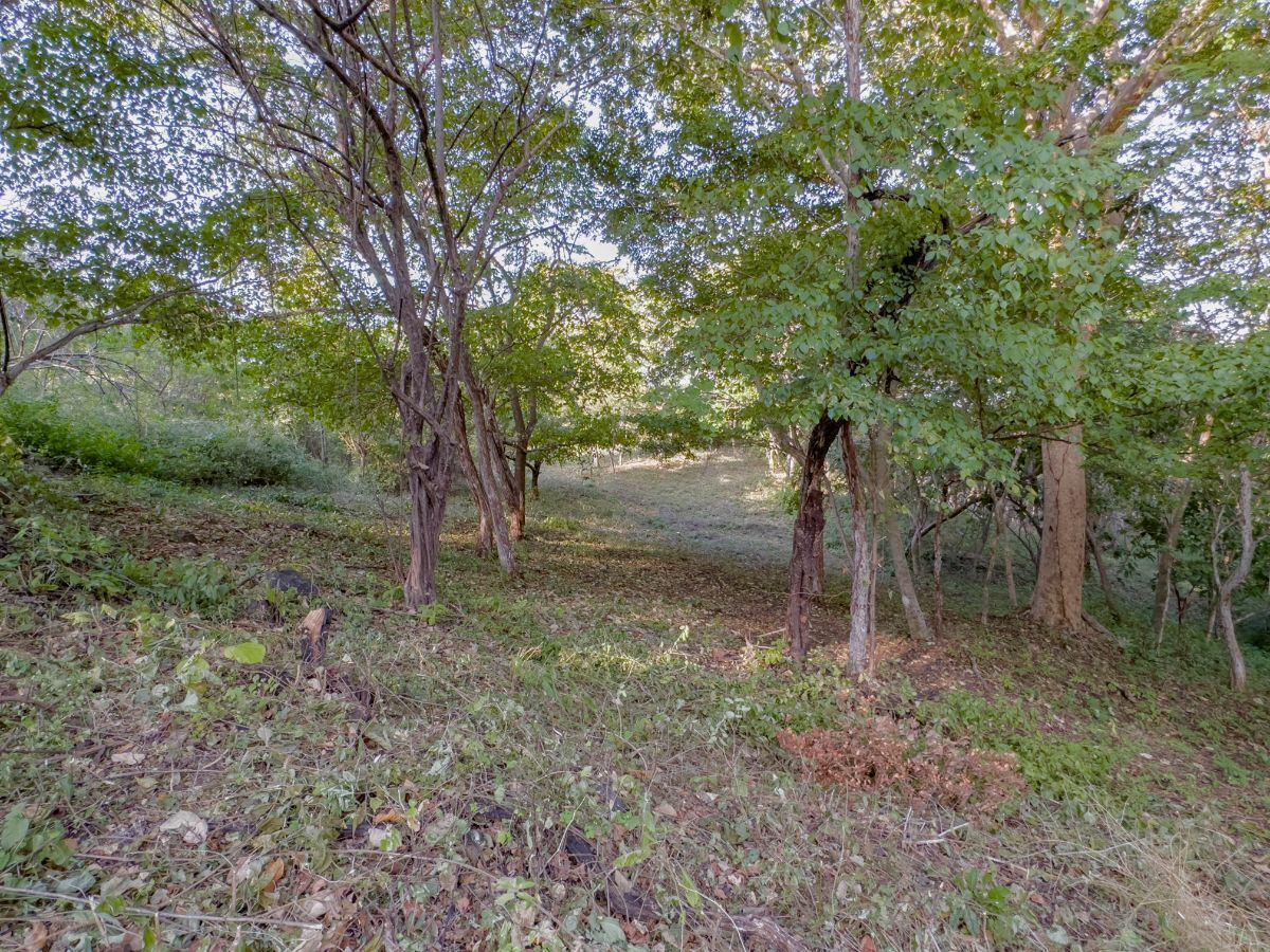 0 bed Land For Sale in Playas Del Coco, Guanacaste - thumb 9
