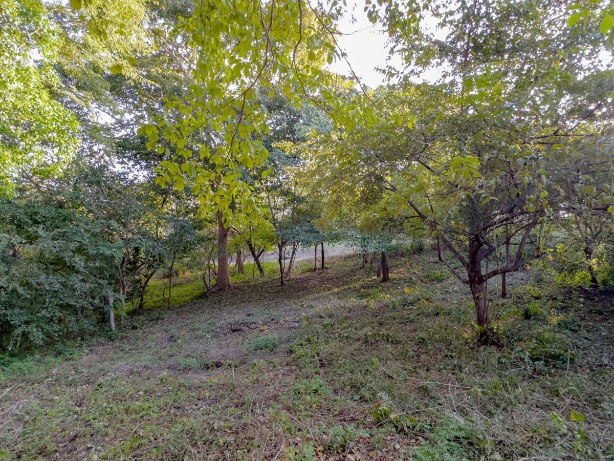 0 bed Land For Sale in Playas Del Coco, Guanacaste - thumb 6
