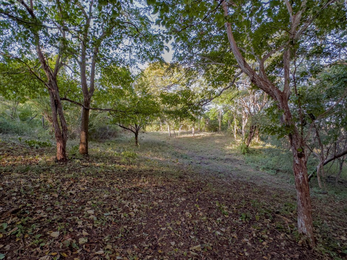 0 bed Land For Sale in Playas Del Coco, Guanacaste - thumb 3
