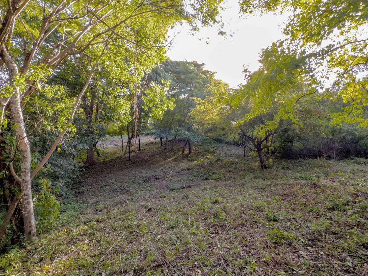 0 bed Land For Sale in Playas Del Coco, Guanacaste - thumb 1