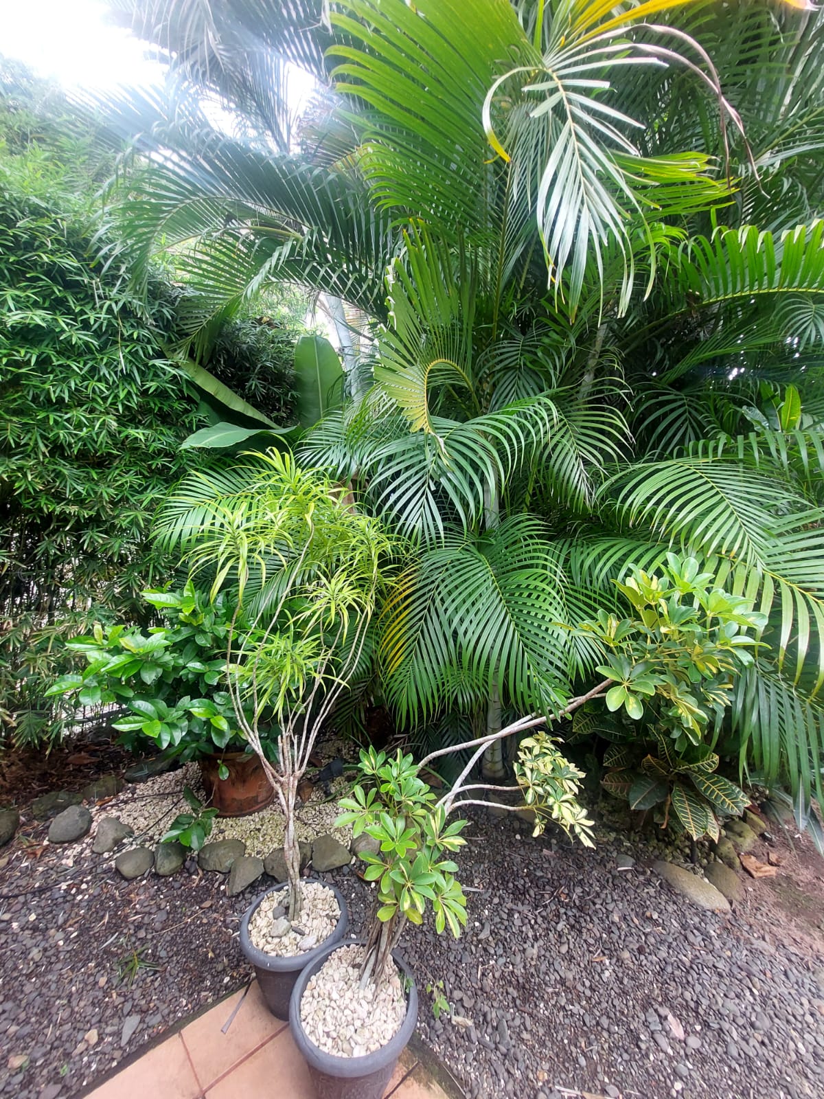 2 bed Single Family Homes For Sale in Jaco, Puntarenas - thumb 17