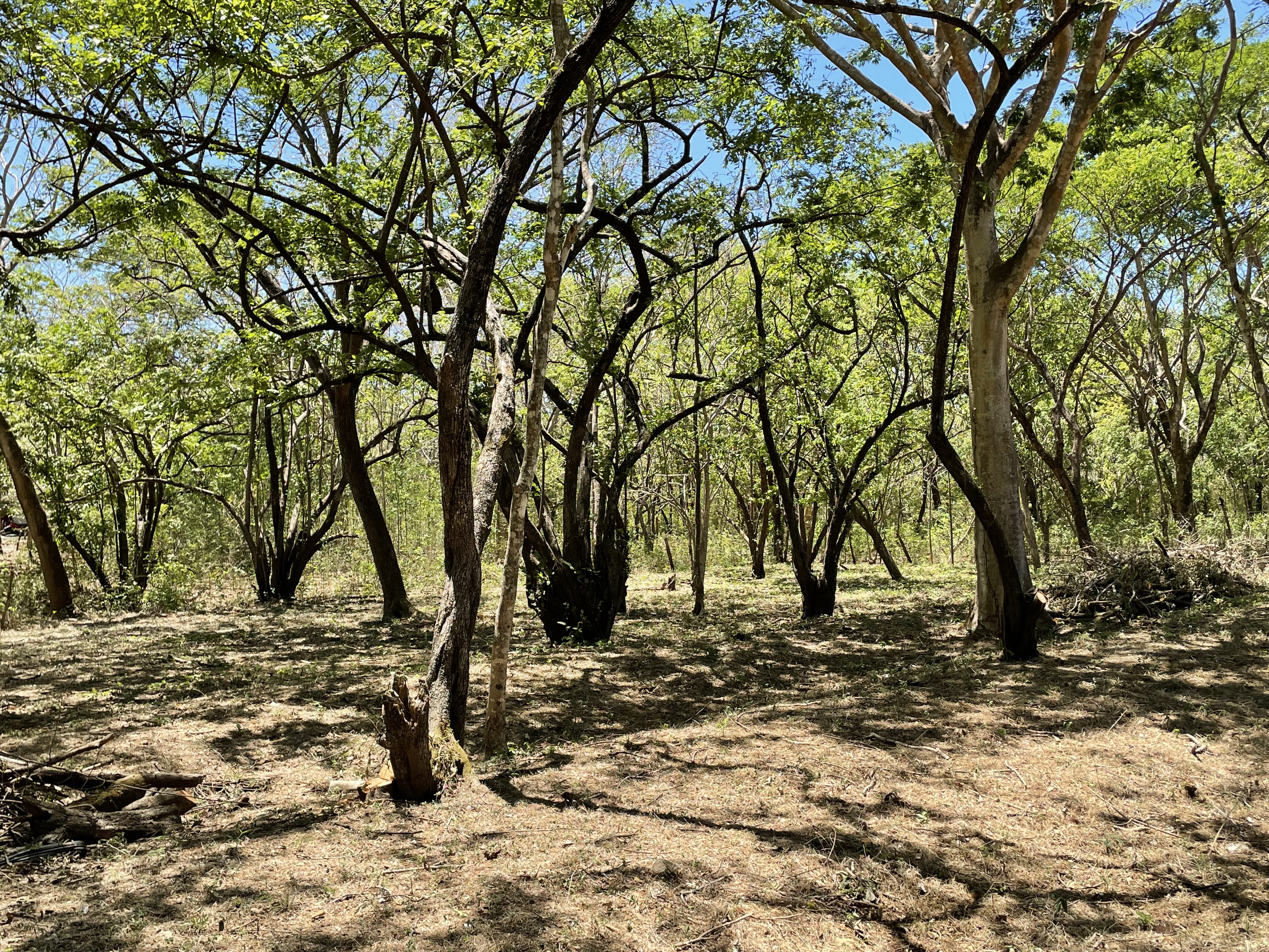 0 bed Land For Sale in Playa Negra, Guanacaste - thumb 12