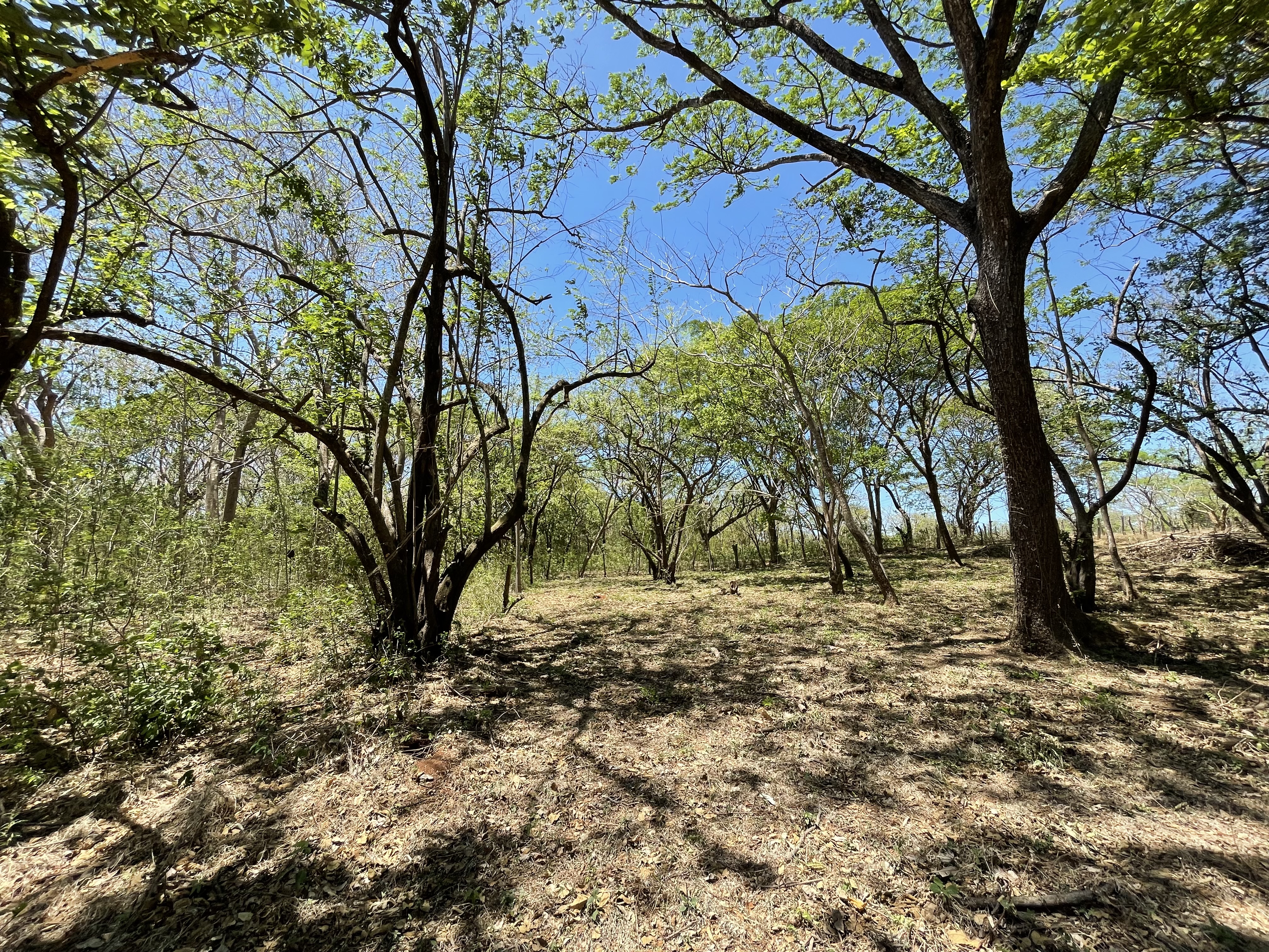 0 bed Land For Sale in Playa Negra, Guanacaste - thumb 5
