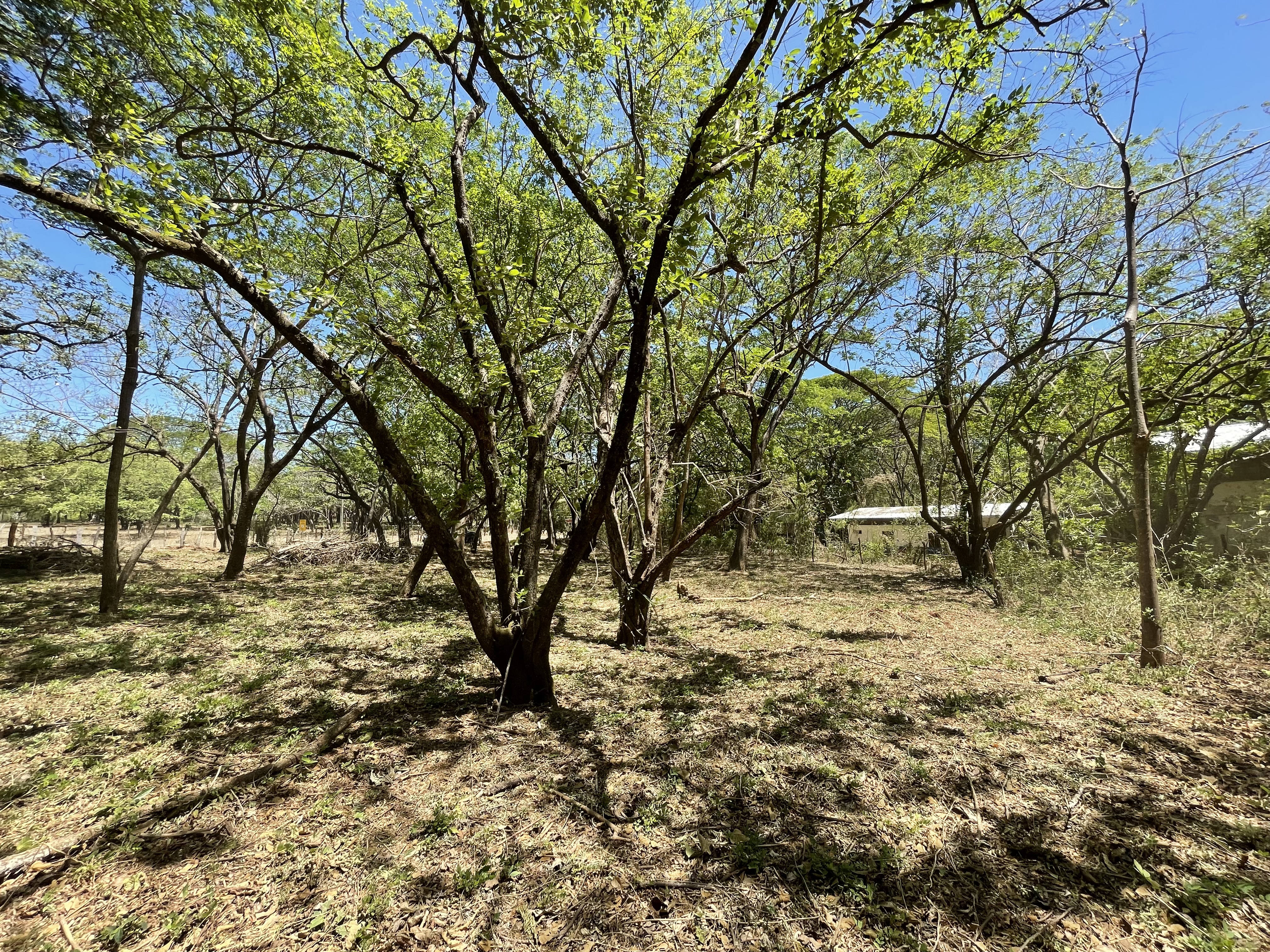 0 bed Land For Sale in Playa Negra, Guanacaste - thumb 6