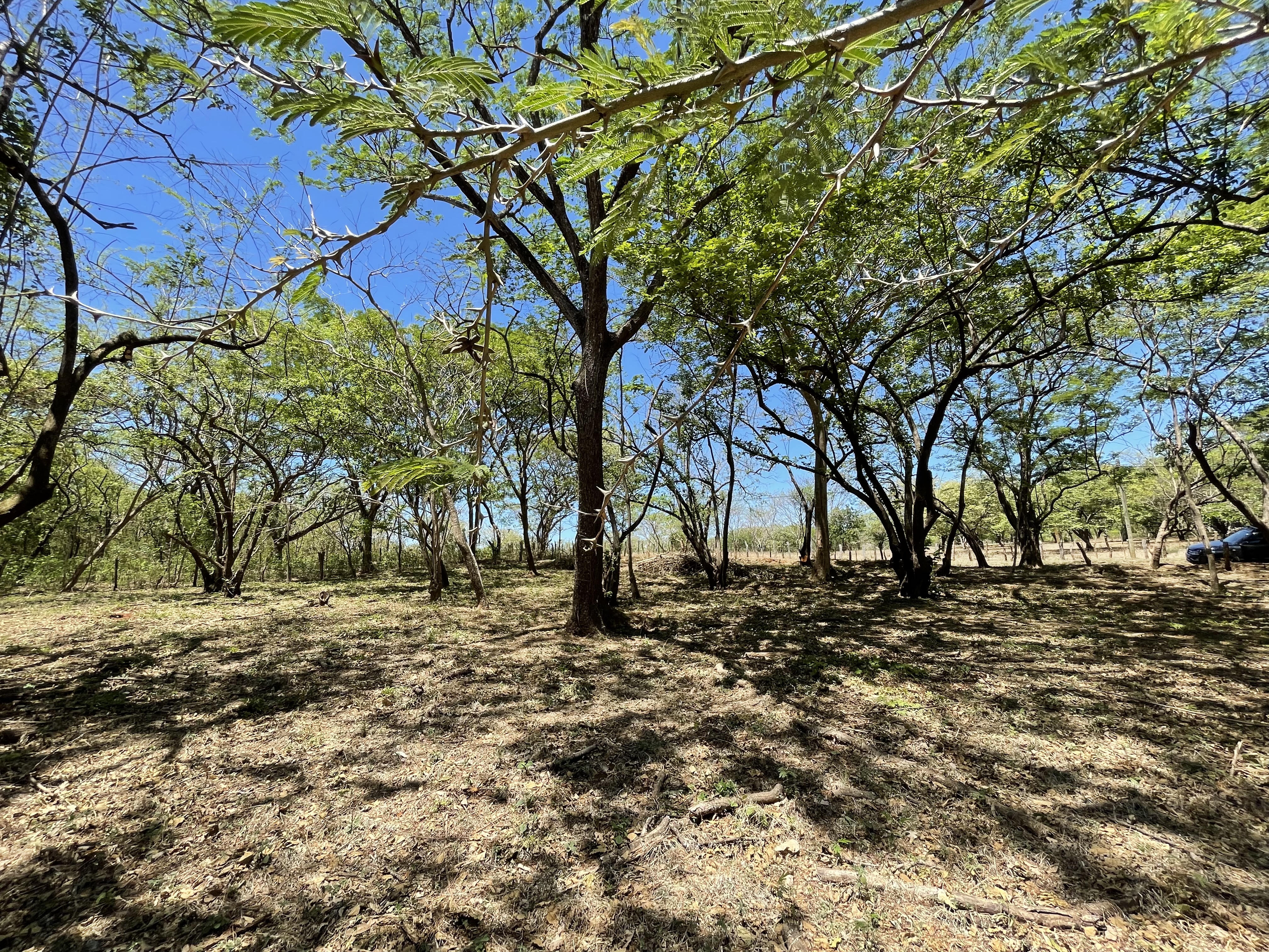 0 bed Land For Sale in Playa Negra, Guanacaste - thumb 13