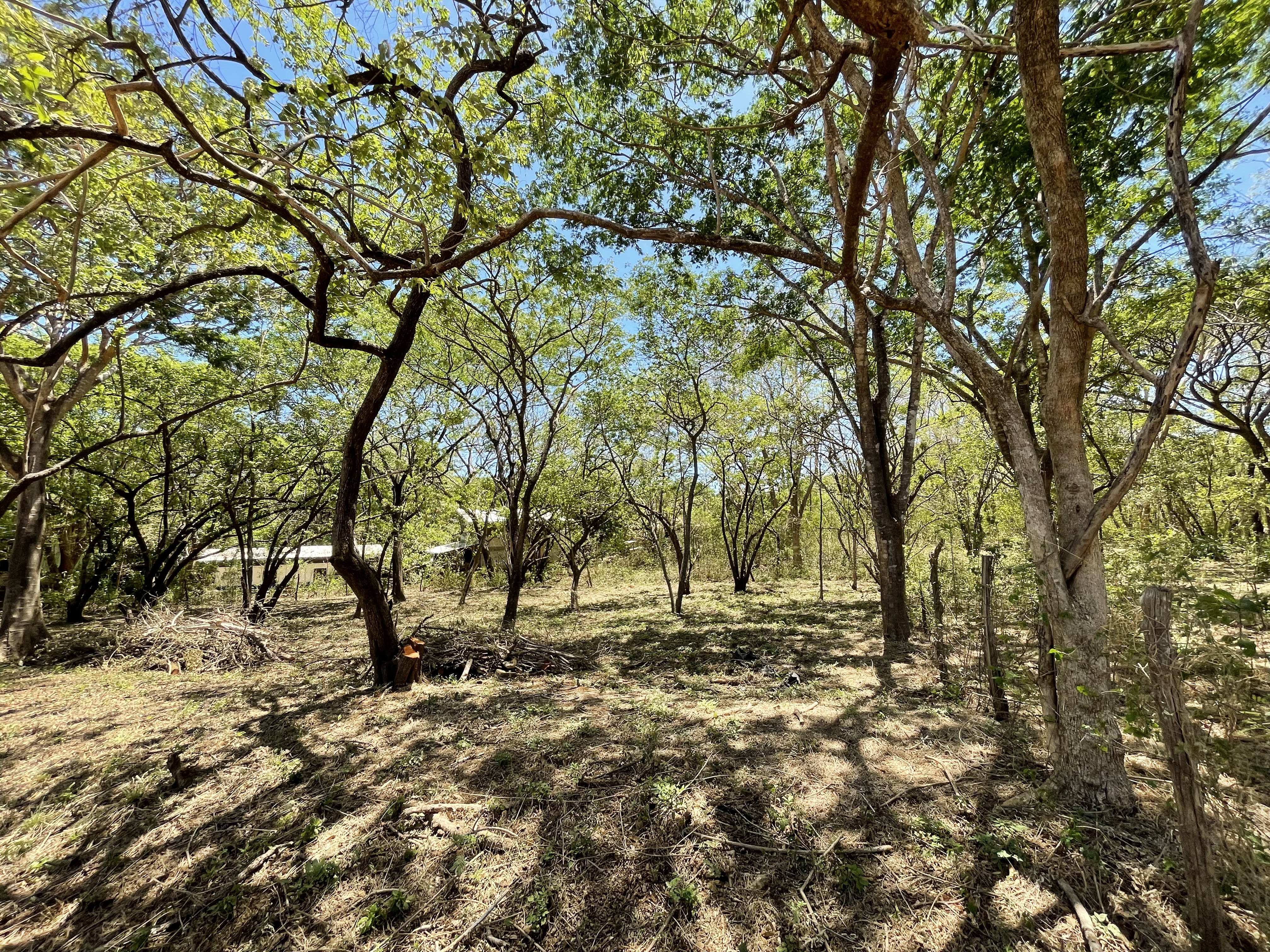 0 bed Land For Sale in Playa Negra, Guanacaste - thumb 8