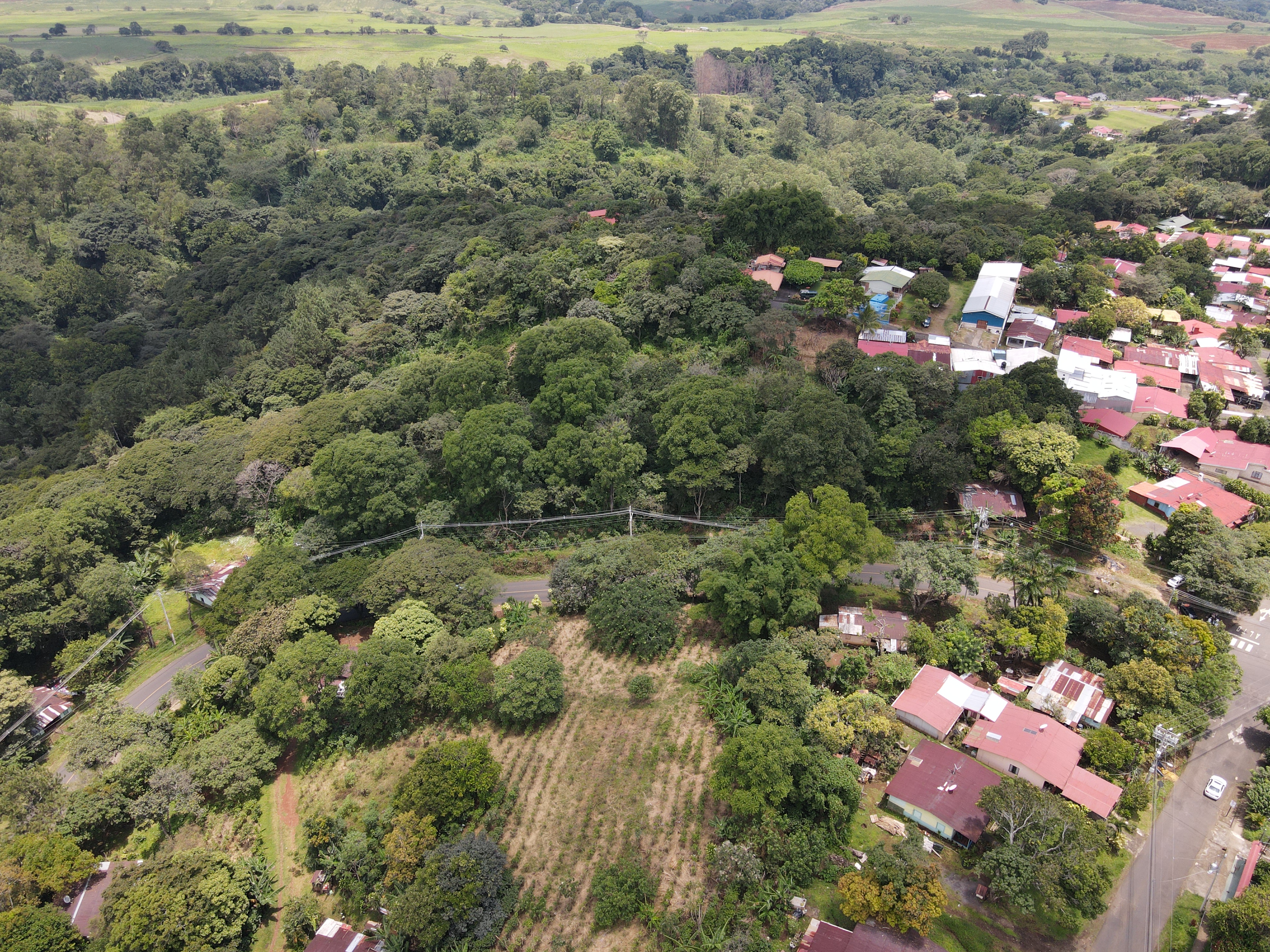 0 bed Land For Sale in Grecia, Alajuela - thumb 10