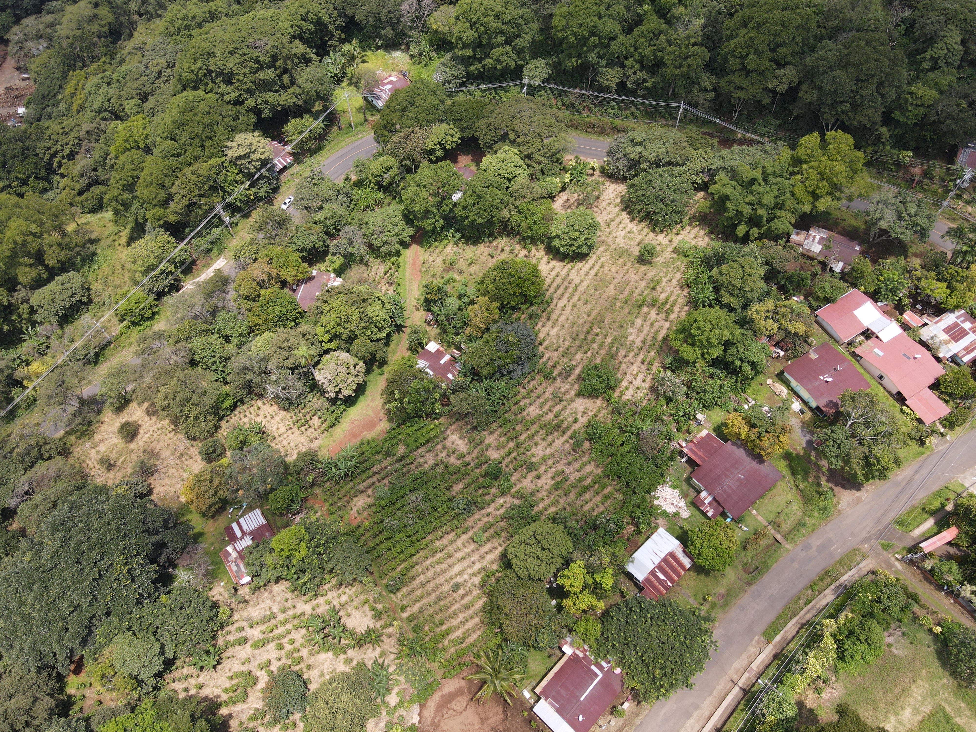 0 bed Land For Sale in Grecia, Alajuela - thumb 9