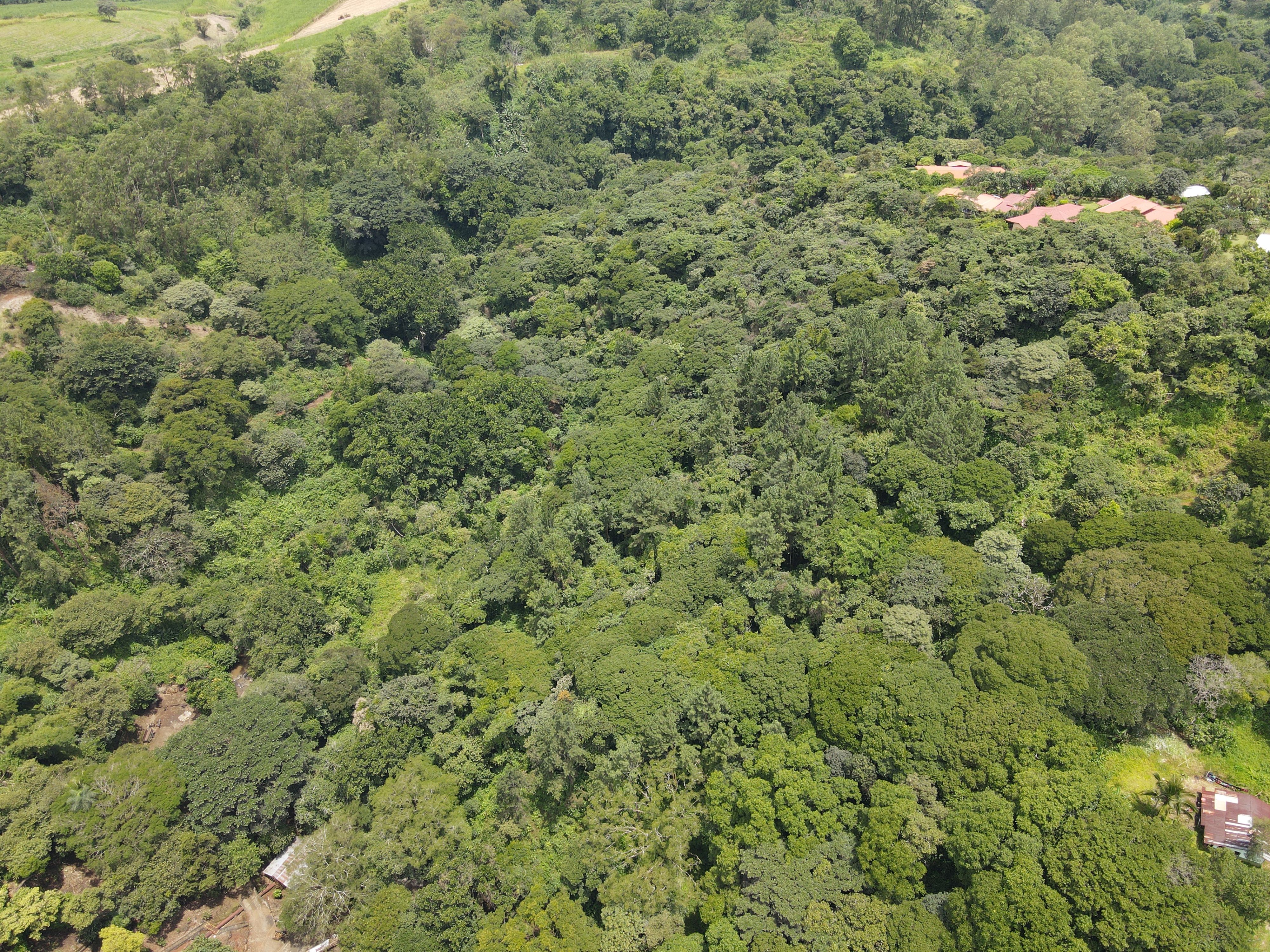 0 bed Land For Sale in Grecia, Alajuela - thumb 2