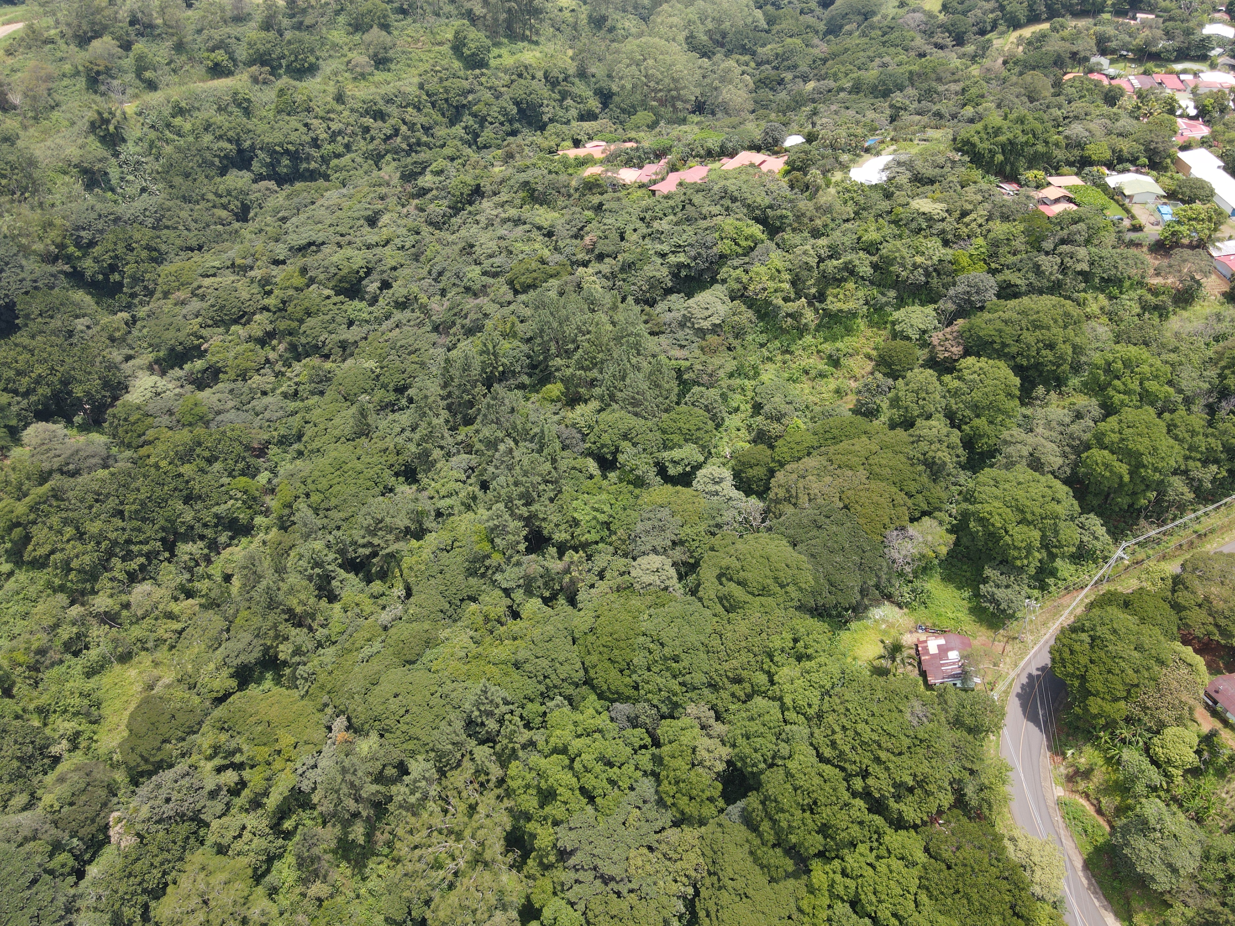 0 bed Land For Sale in Grecia, Alajuela - thumb 4