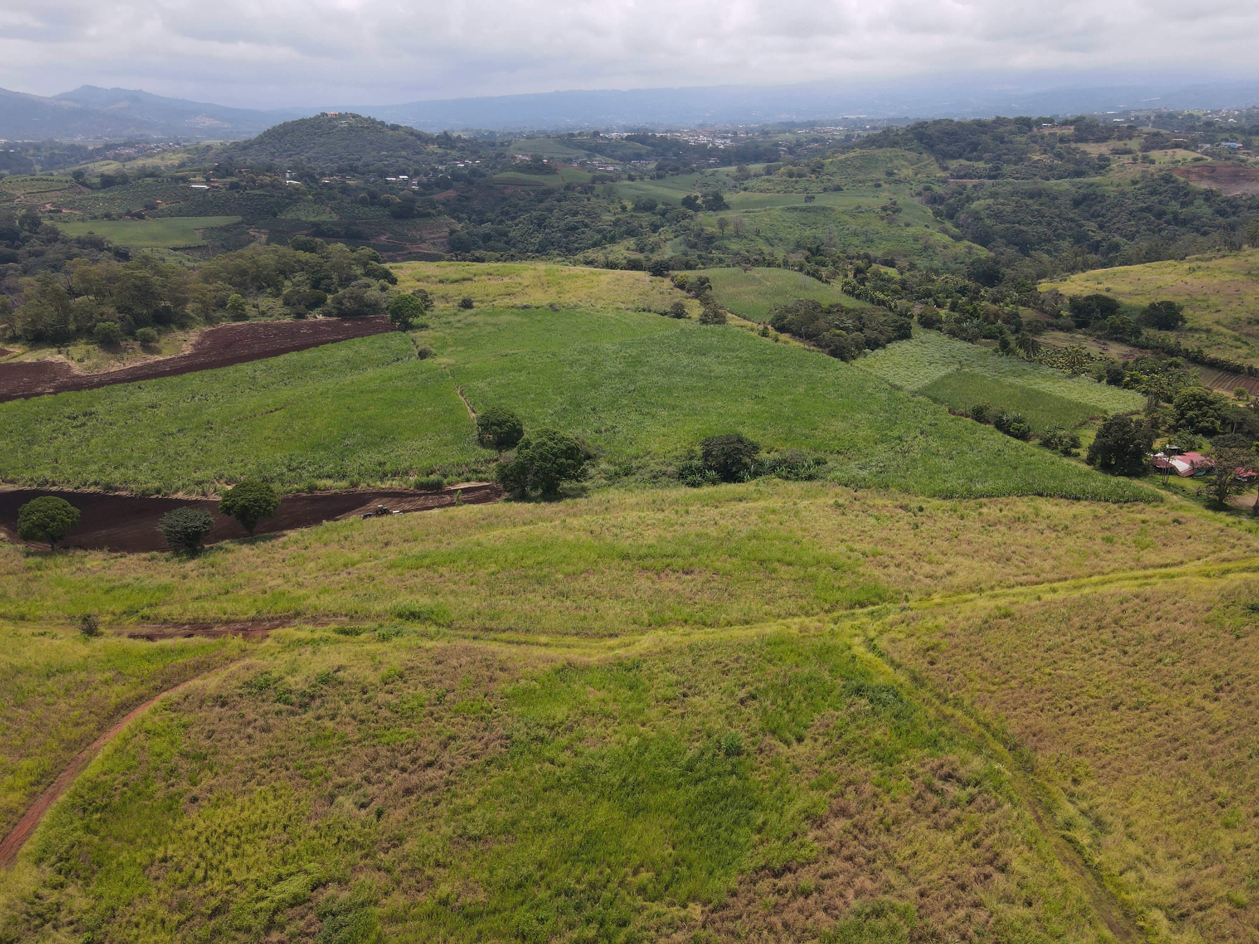 0 bed Land For Sale in Grecia, Alajuela - thumb 13
