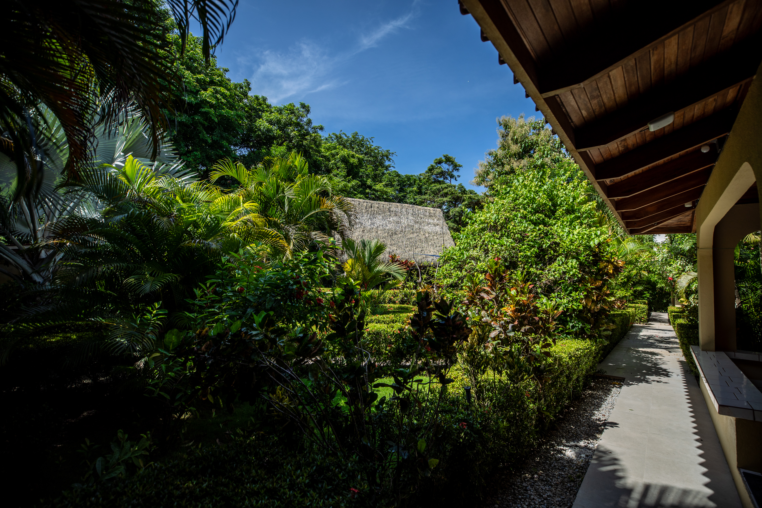 8 bed Single Family Homes For Sale in Nosara, Guanacaste - thumb 12