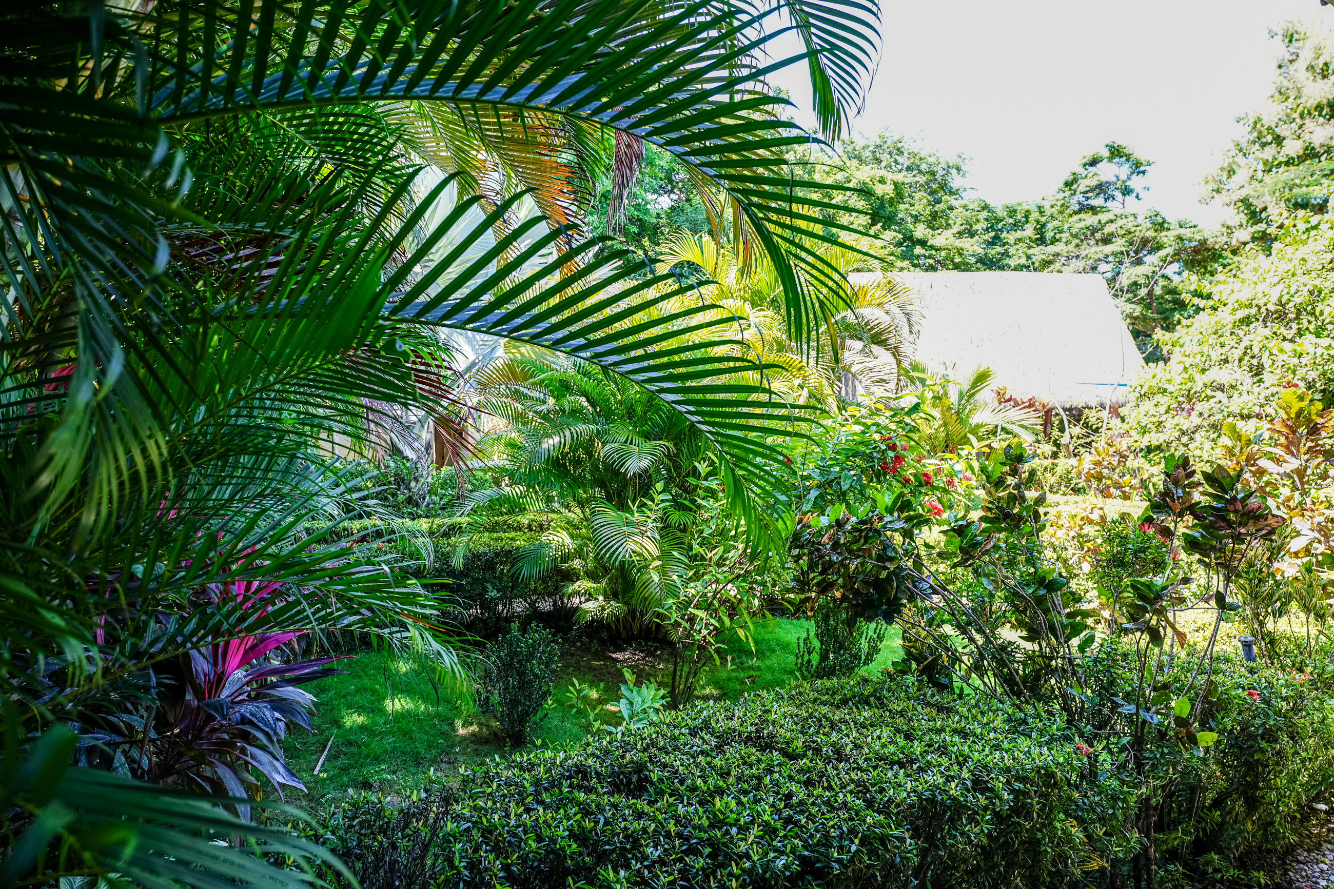 8 bed Single Family Homes For Sale in Nosara, Guanacaste - thumb 29