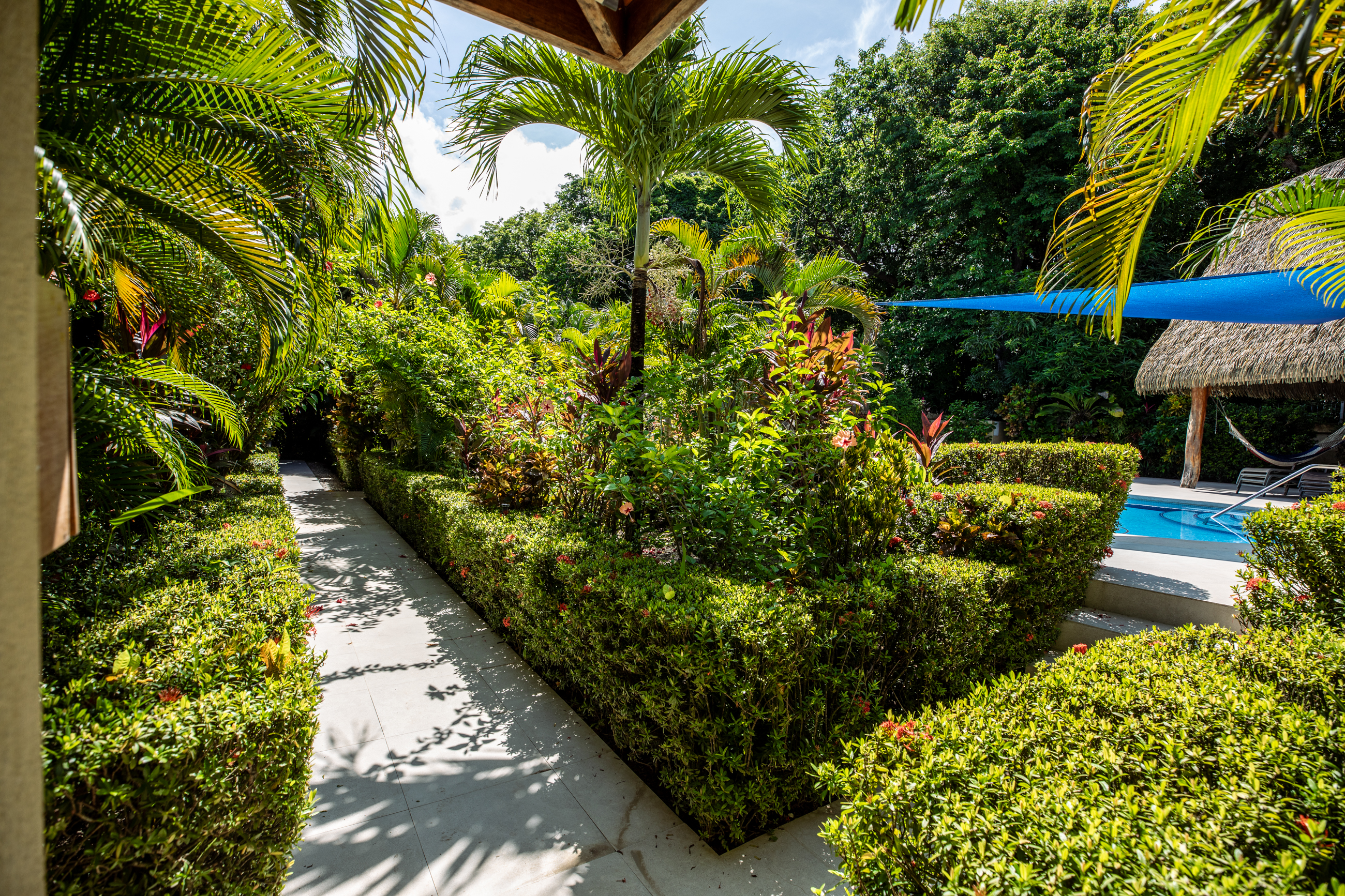 8 bed Single Family Homes For Sale in Nosara, Guanacaste - thumb 9