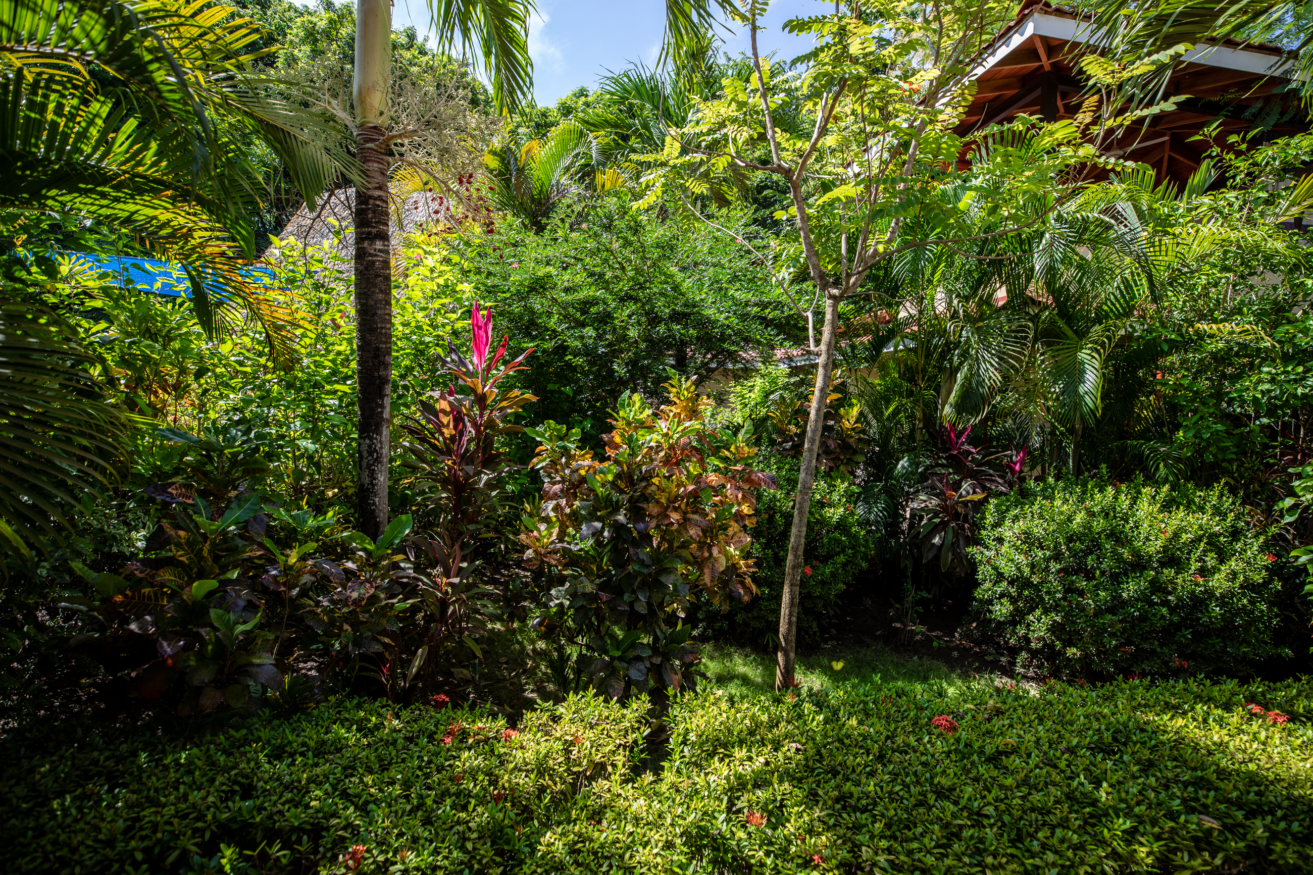 8 bed Single Family Homes For Sale in Nosara, Guanacaste - thumb 10