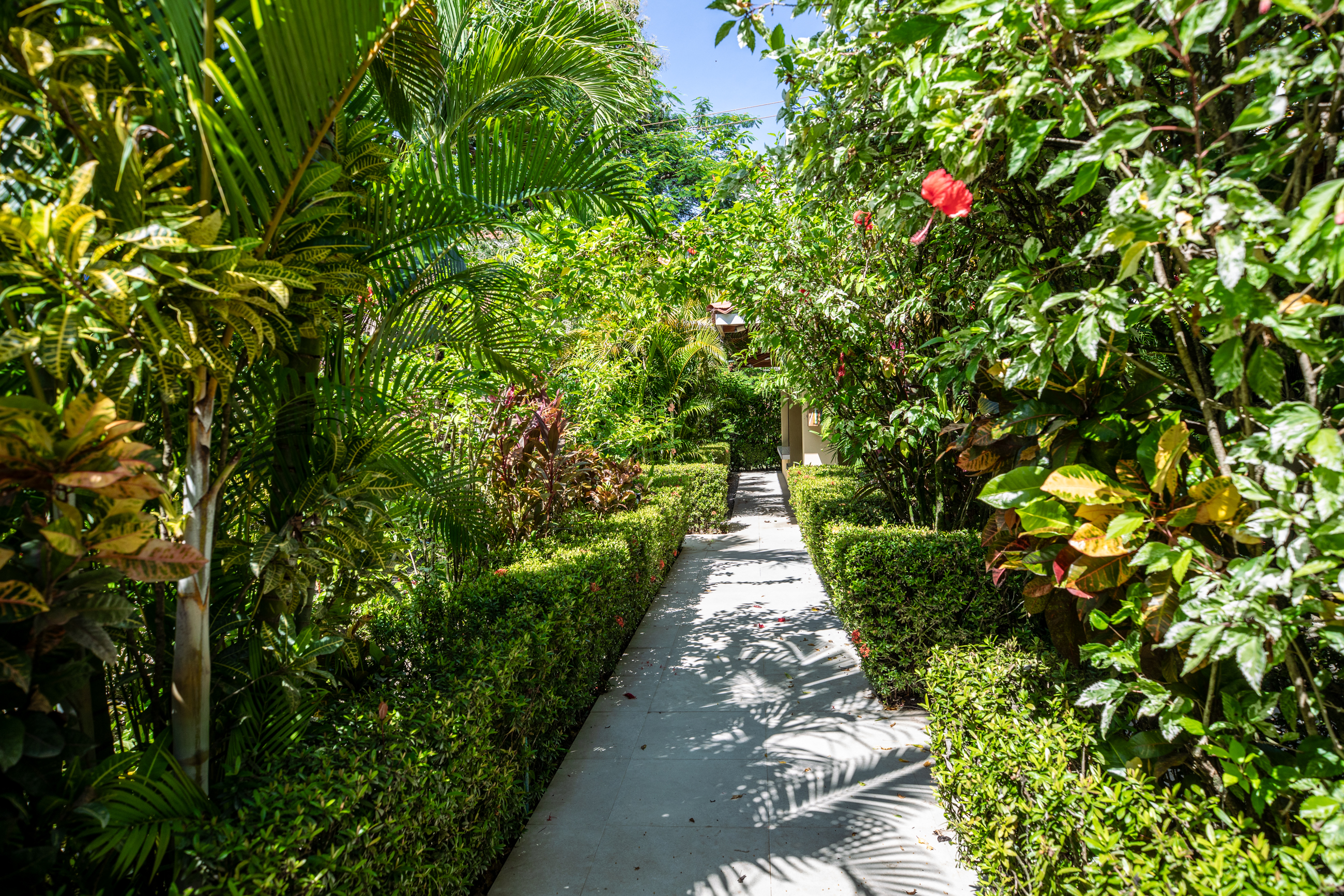 8 bed Single Family Homes For Sale in Nosara, Guanacaste - thumb 3