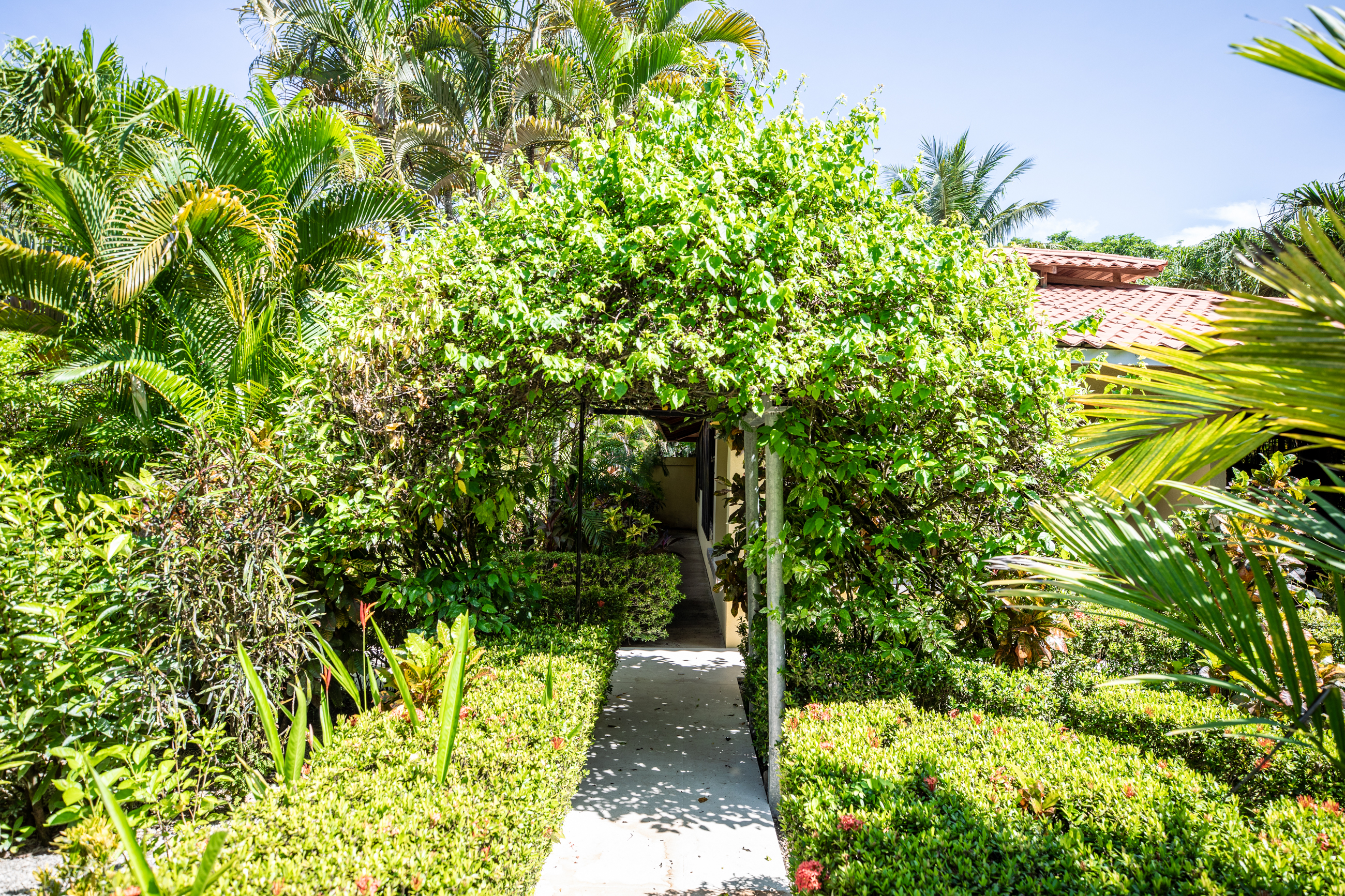 8 bed Single Family Homes For Sale in Nosara, Guanacaste - thumb 4