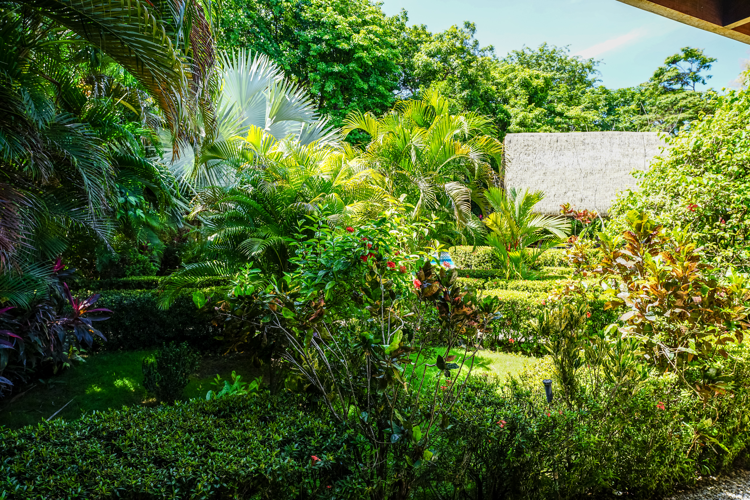 8 bed Single Family Homes For Sale in Nosara, Guanacaste - thumb 28