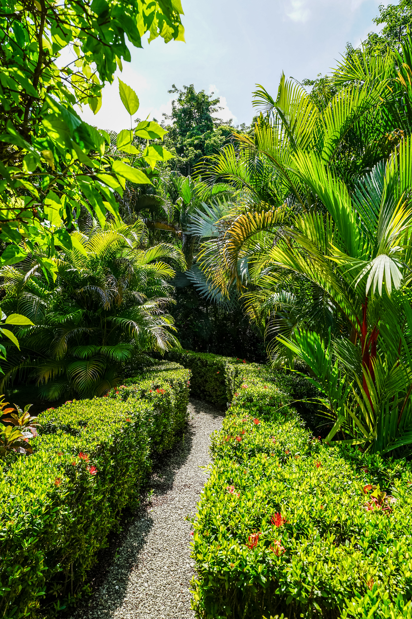 8 bed Single Family Homes For Sale in Nosara, Guanacaste - thumb 30