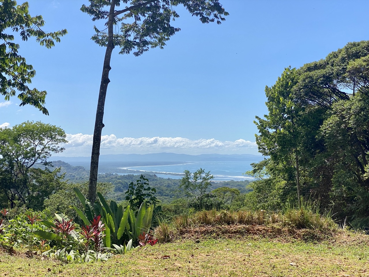 0 bed Land For Sale in Ojochal, Puntarenas - thumb 3