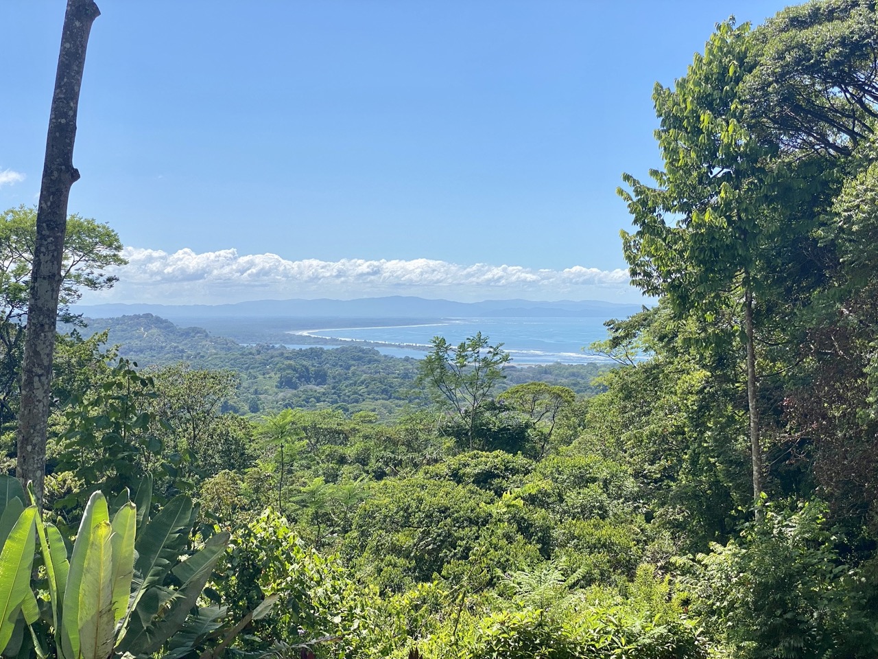 0 bed Land For Sale in Ojochal, Puntarenas - thumb 1