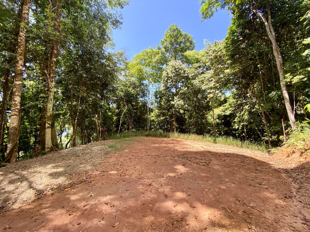 0 bed Land For Sale in Ojochal, Puntarenas - thumb 14