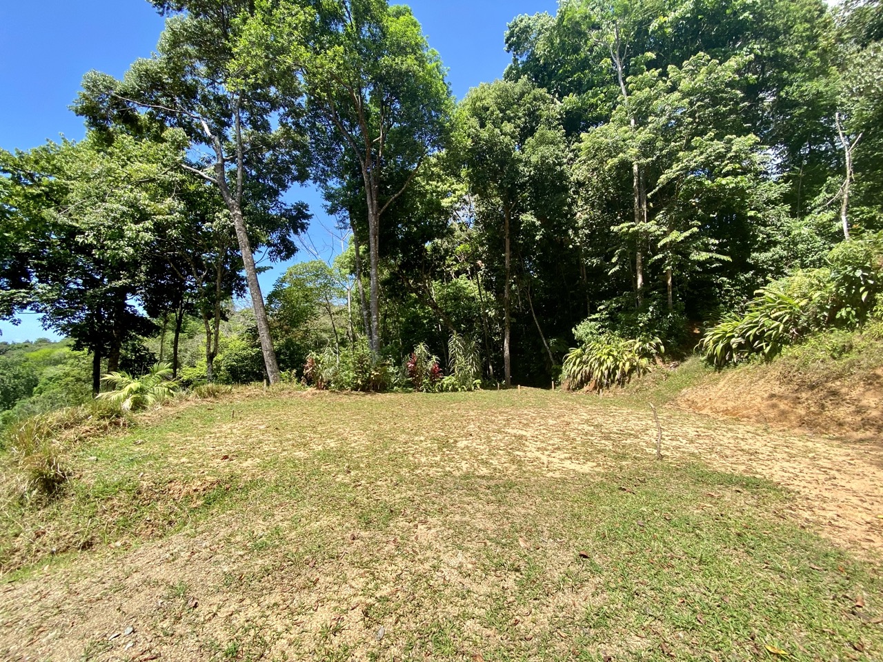 0 bed Land For Sale in Ojochal, Puntarenas - thumb 7
