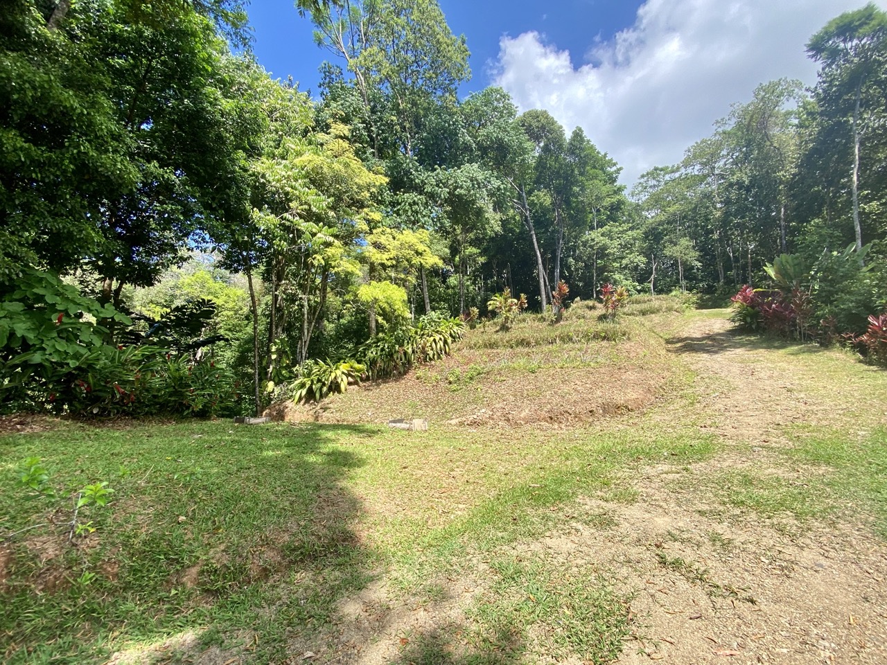 0 bed Land For Sale in Ojochal, Puntarenas - thumb 9