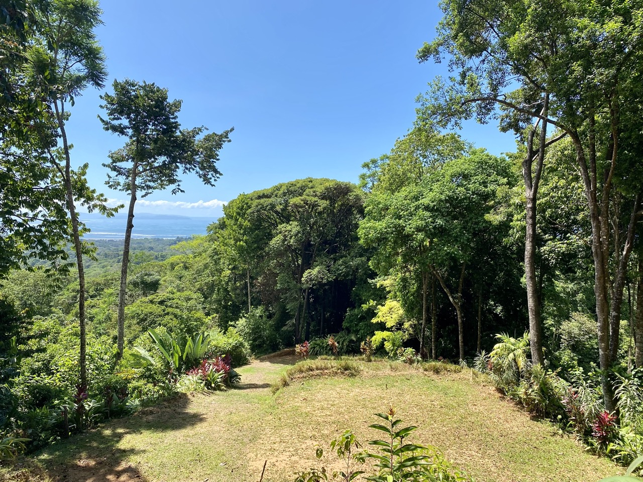 0 bed Land For Sale in Ojochal, Puntarenas - thumb 5