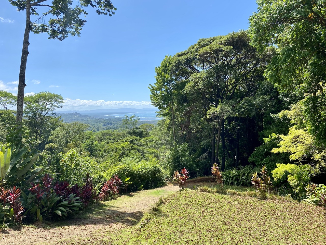 0 bed Land For Sale in Ojochal, Puntarenas - thumb 4